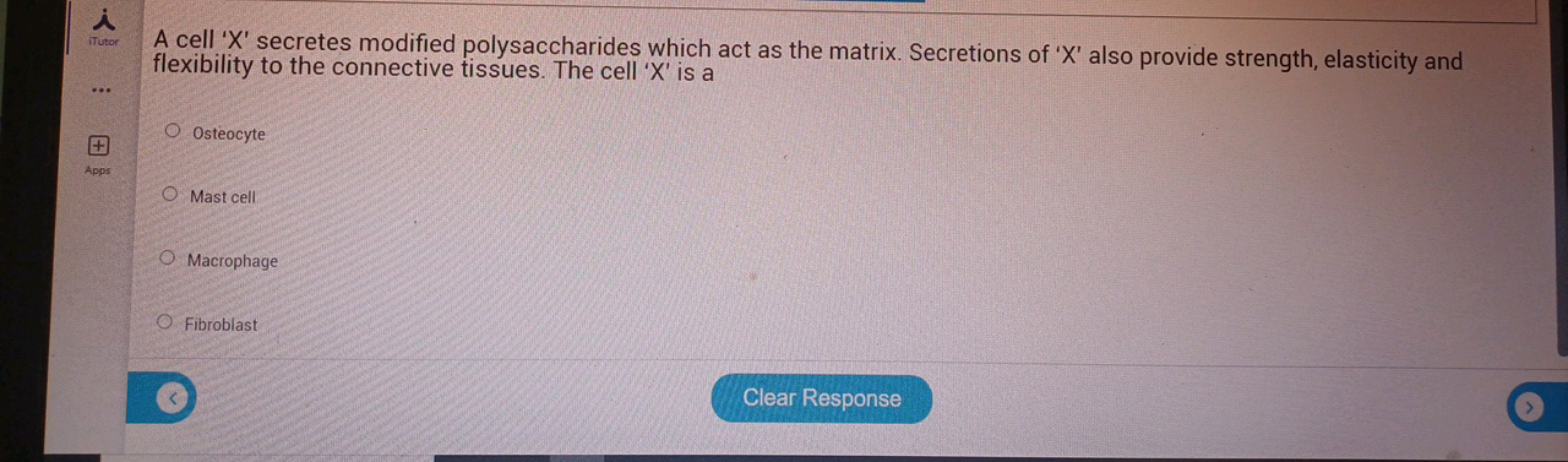 iTutor
A cell ' X ' secretes modified polysaccharides which act as the