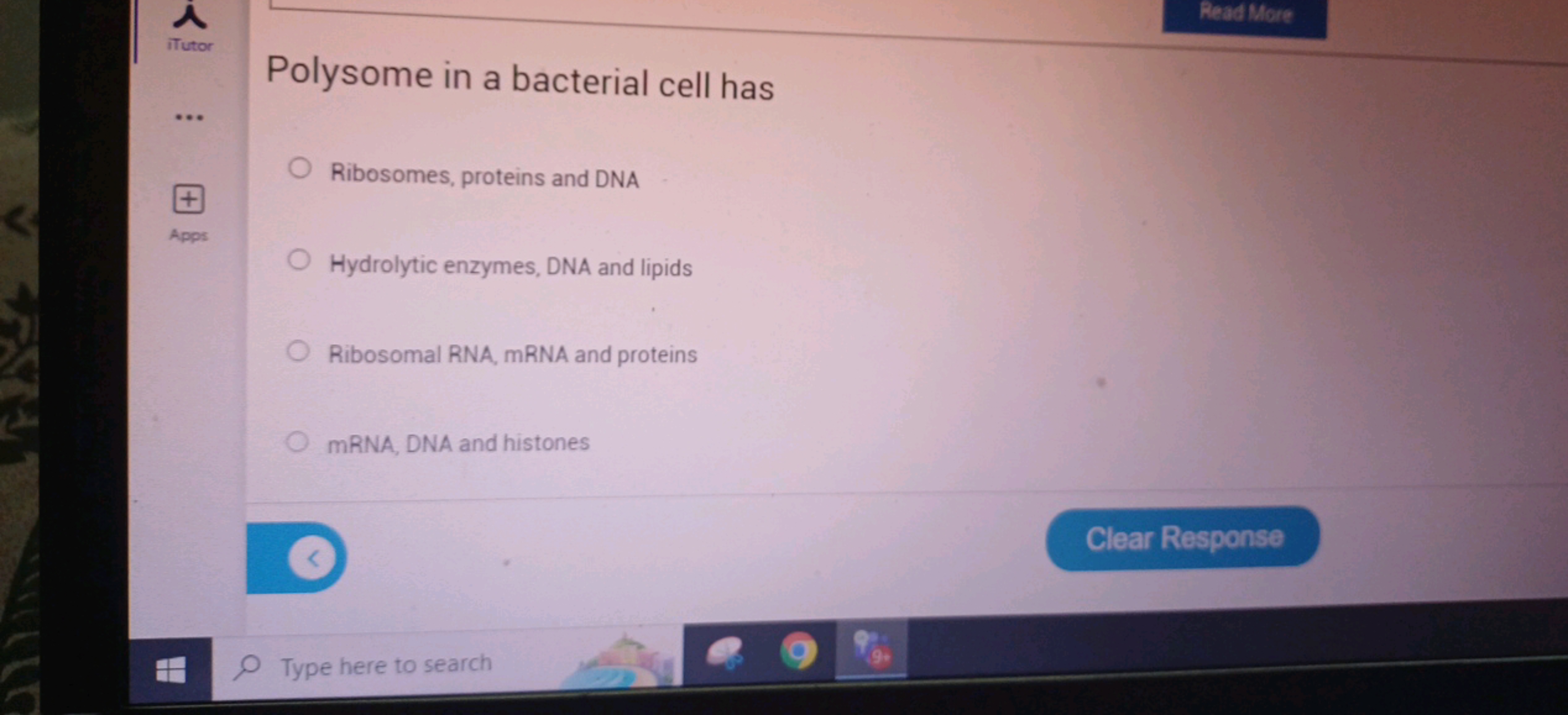 Read More
iTutor
Polysome in a bacterial cell has
Ribosomes, proteins 