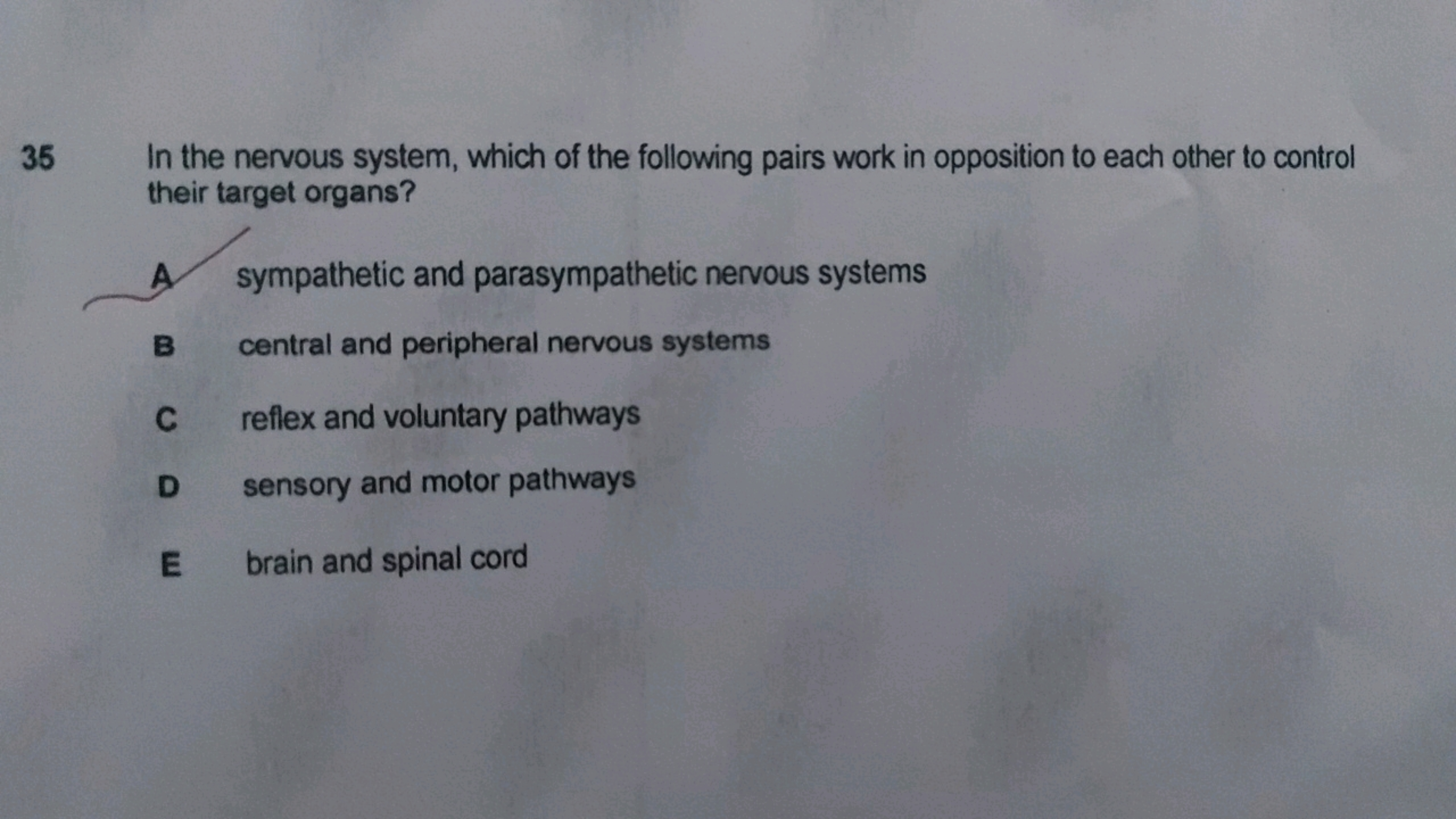 35 In the nervous system, which of the following pairs work in opposit