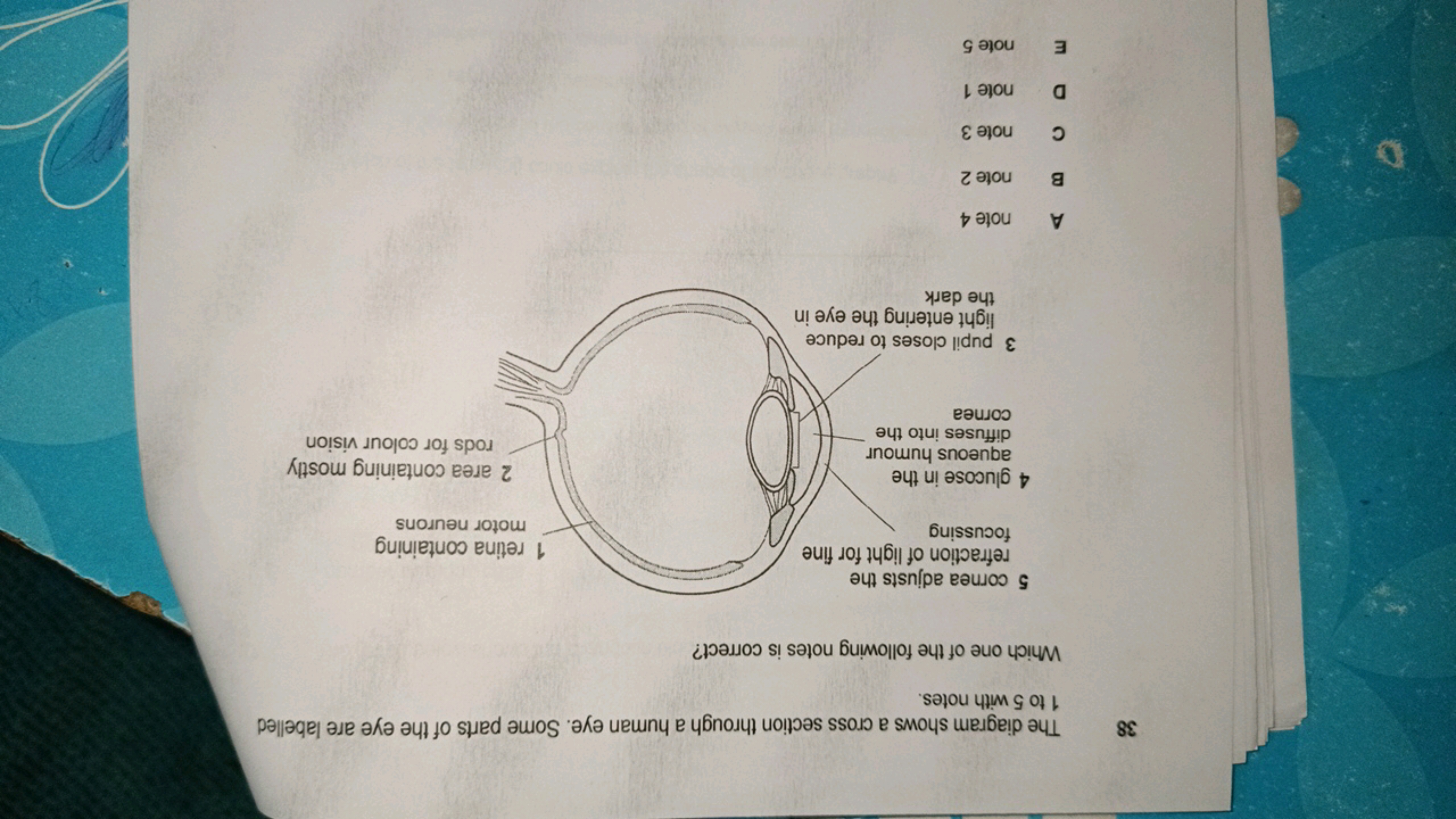 
sejou yım G 여 1
8ε