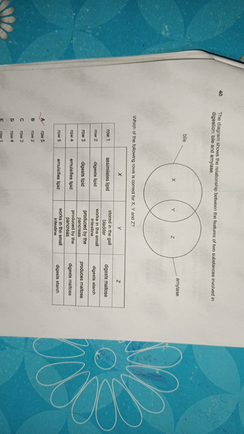 40 The diagram shows the relationship between the features of two subs