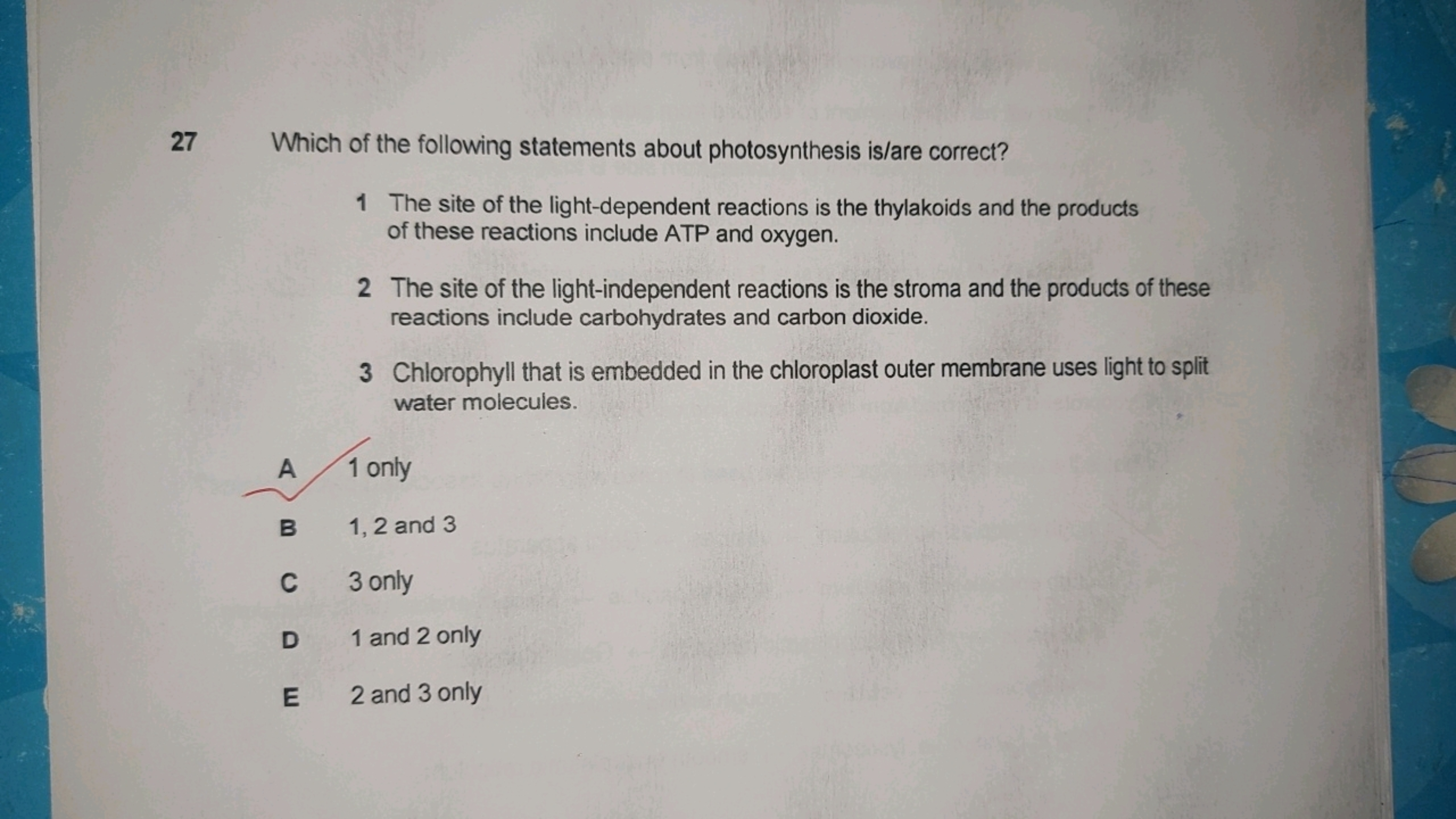 27 Which of the following statements about photosynthesis is/are corre