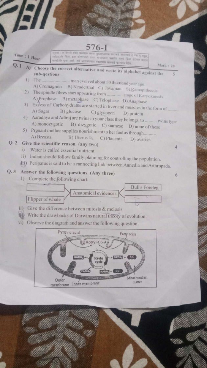 576-I
Time : 1 Hour
Q. 1 A) Choose the correct alternative and write i