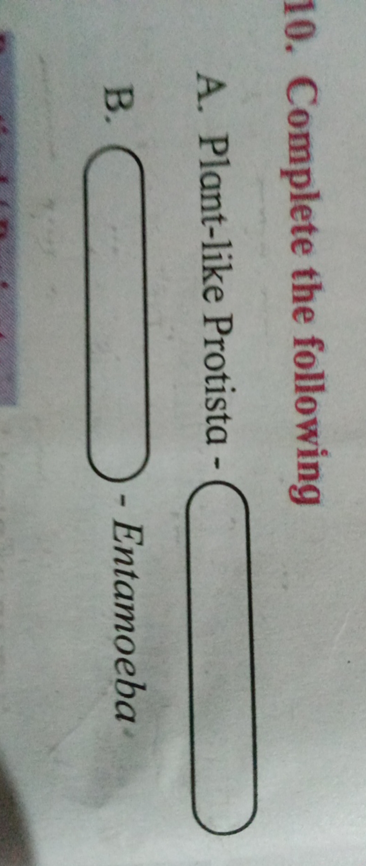 10. Complete the following
A. Plant-like Protista- □
B. □ - Entamoeba