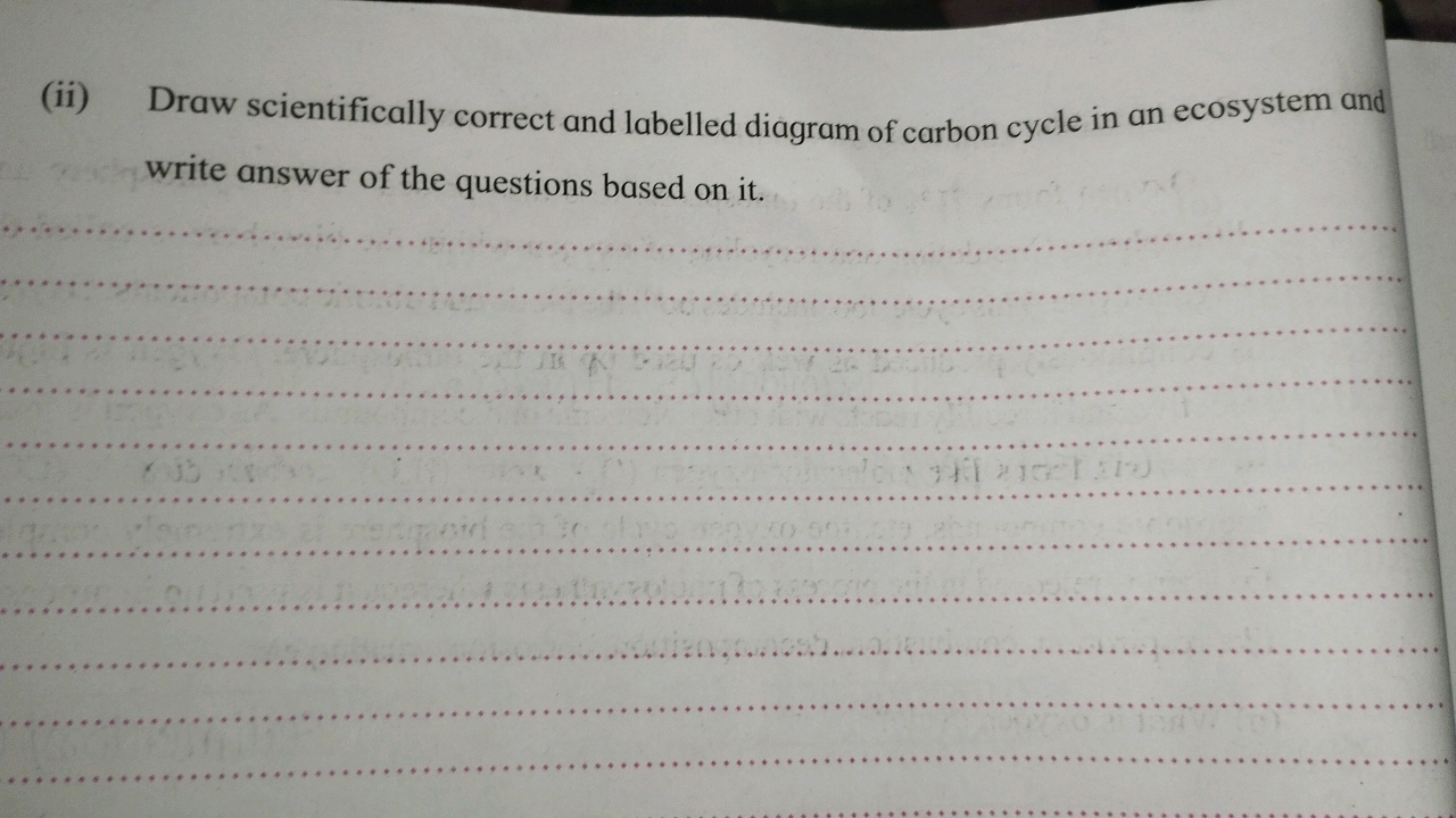 (ii) Draw scientifically correct and labelled diagram of carbon cycle 