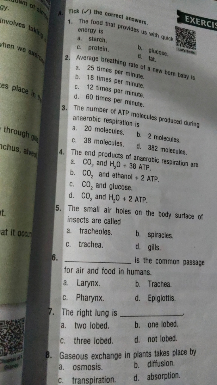 EXERCI
1. The food that provides us with quick energy is
a. starch.
b.