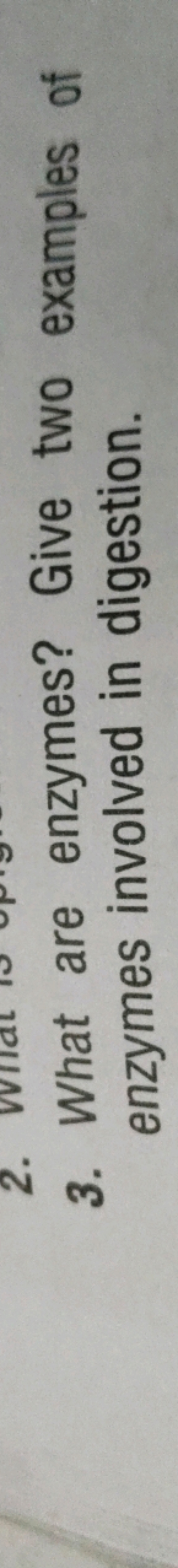 3. What are enzymes? Give two examples of enzymes involved in digestio