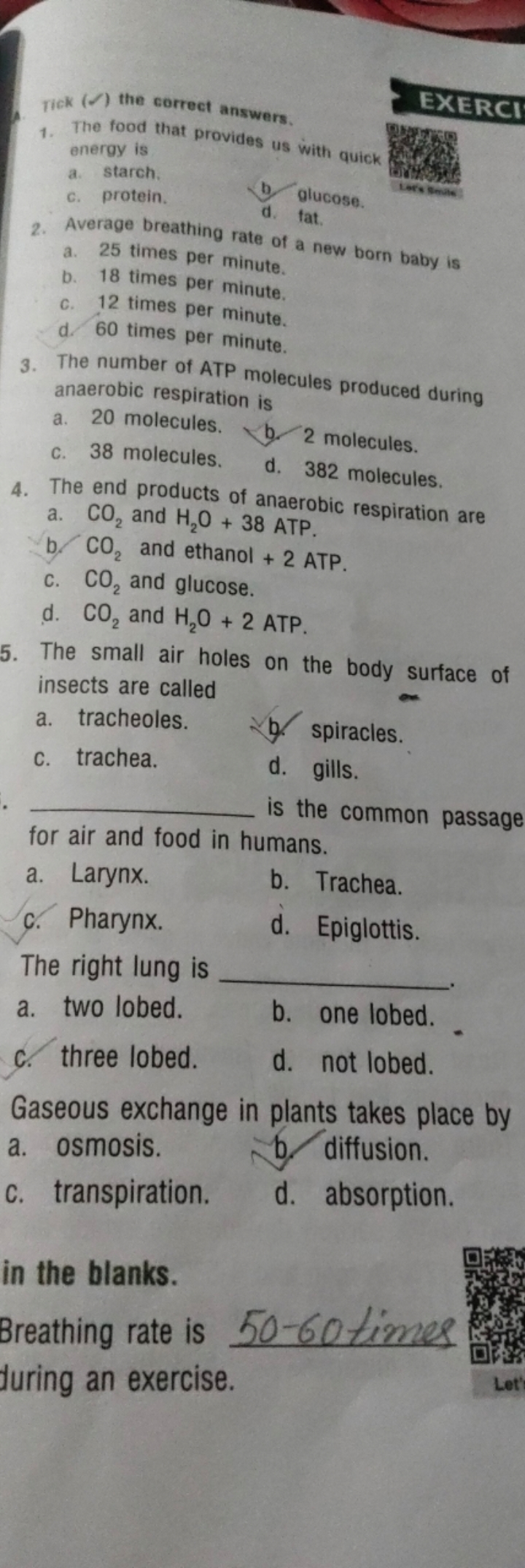 EXERCI
1. The food that provides us with quick energy is
a. starch.
c.