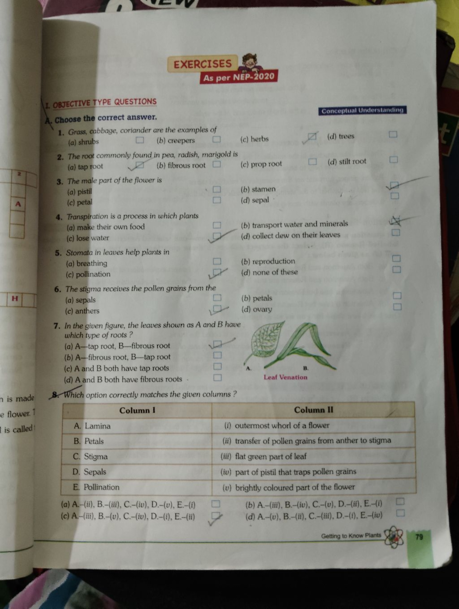 EXERCISES
As per NEP-2020
I. OBJECTIVE TYPE QUESTIONS
Conceptual Under