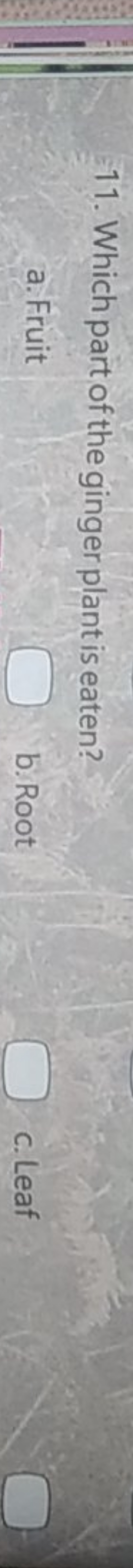 11. Which part of the ginger plant is eaten?
a. Fruit
b. Root
c. Leaf