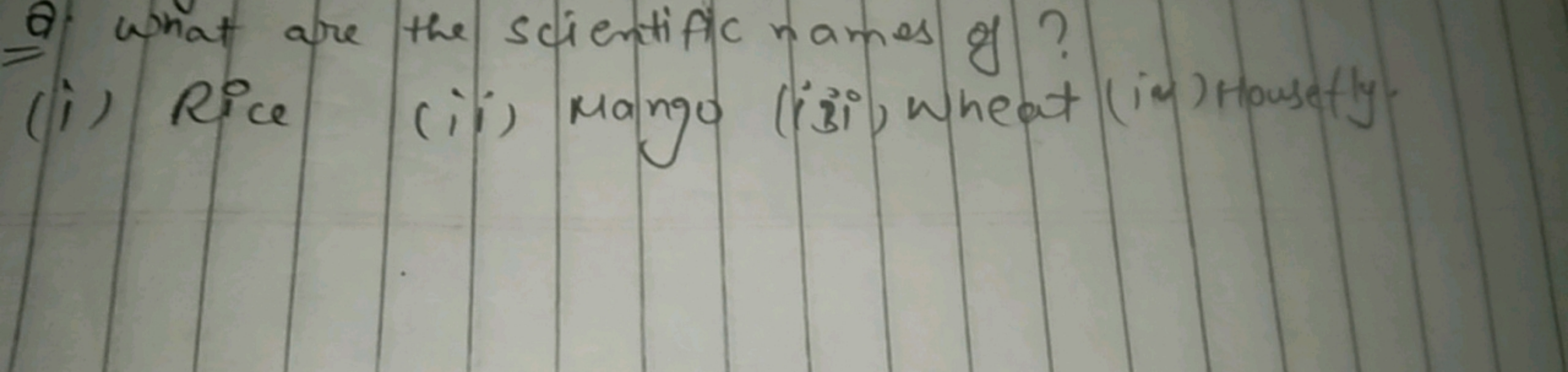 a what are the scientific names of ?
(i) Rice
(ii) Mango (ii) wheat (i