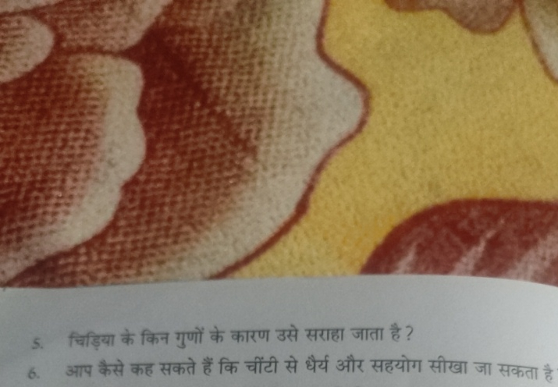 5. चिड़िया के किन गुणों के कारण उसे सराहा जाता है ?
6. आप कैसे कह सकते