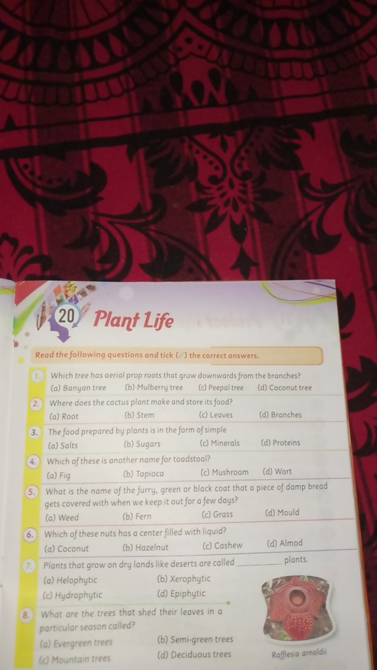 20. Plant Life

Read the following questions and tick ( ) the correct 