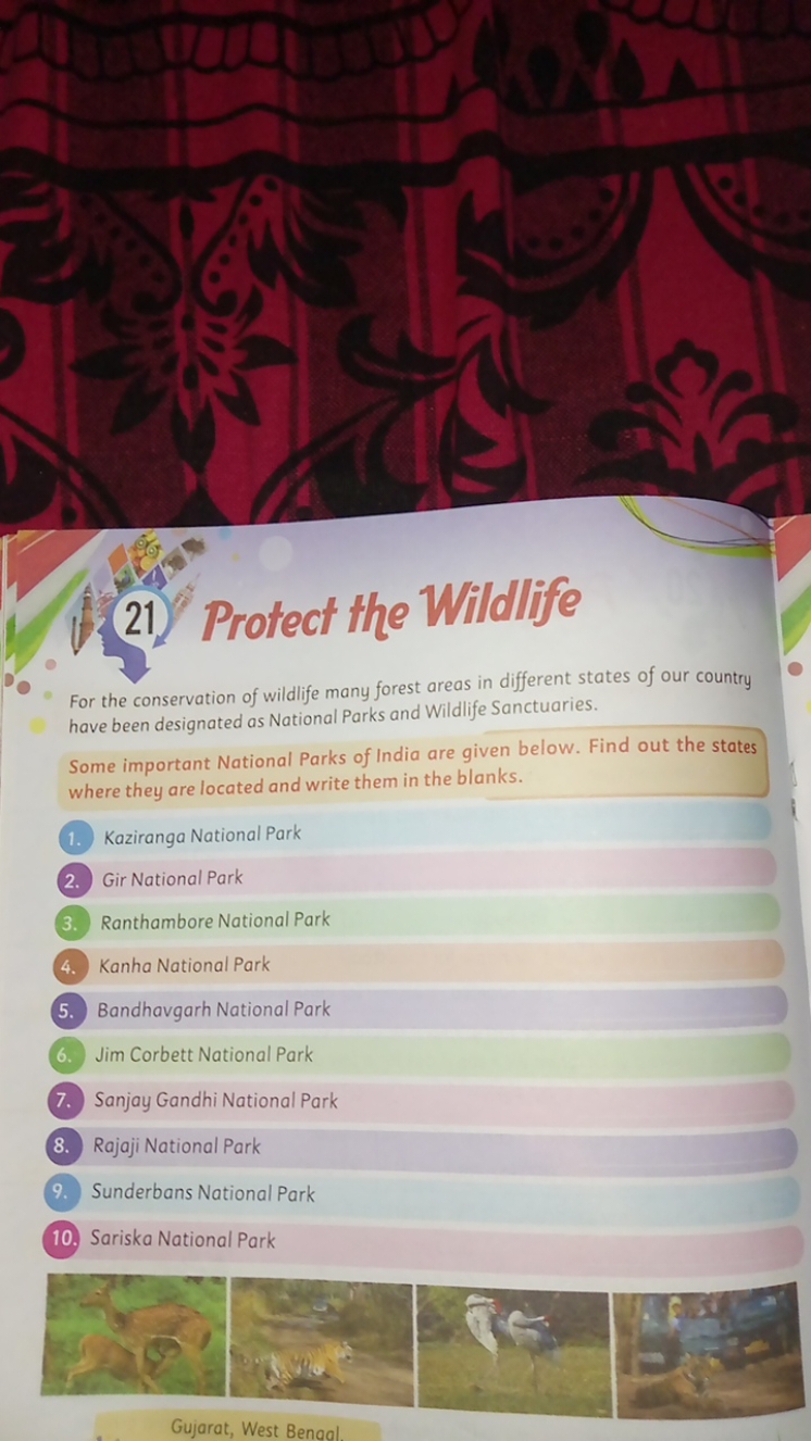 21) Protect the Wildllife

For the conservation of wildlife many fores