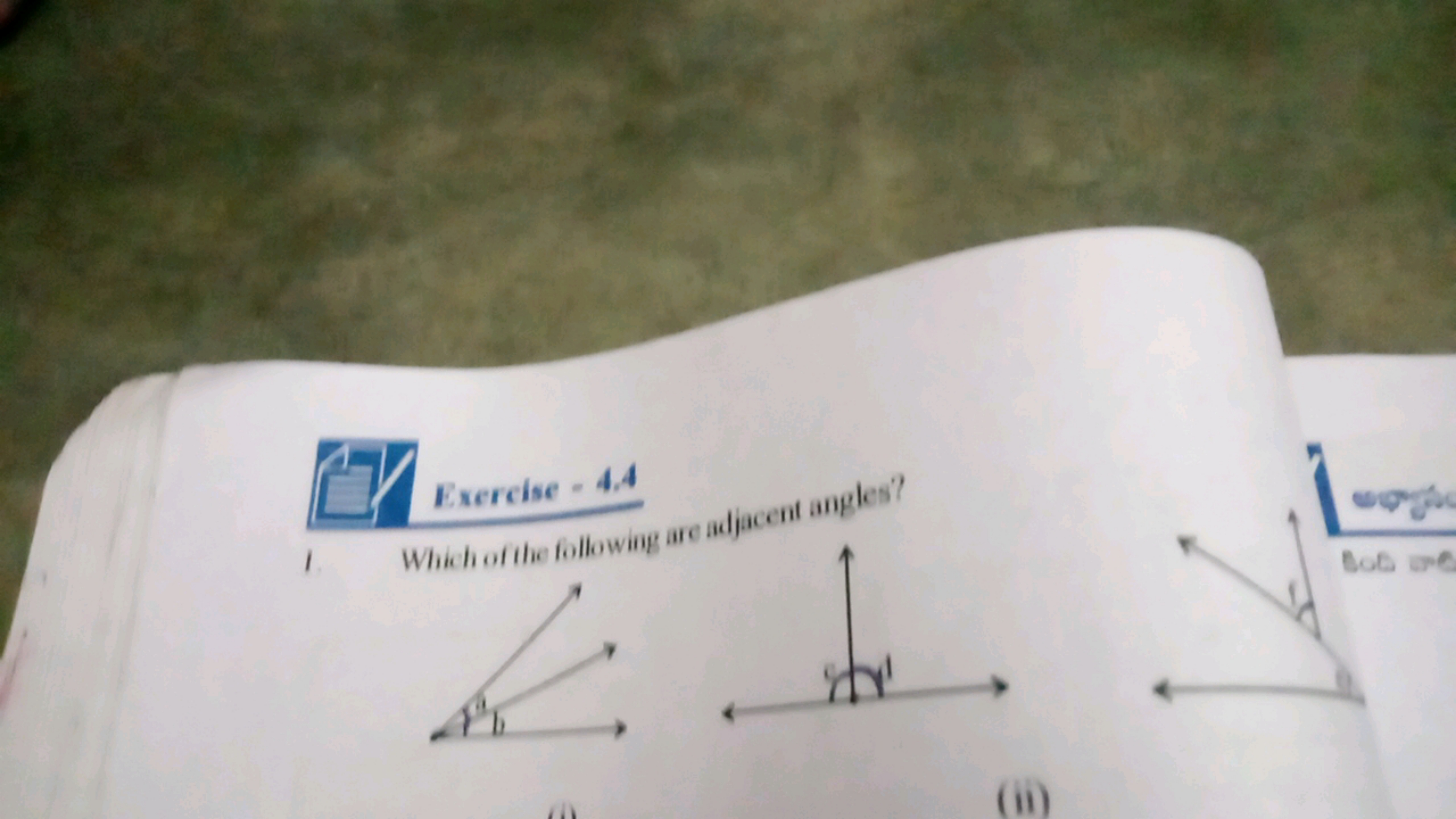 Esercise - 4.4
1 Which of the following are adjacent angles?
(ii)