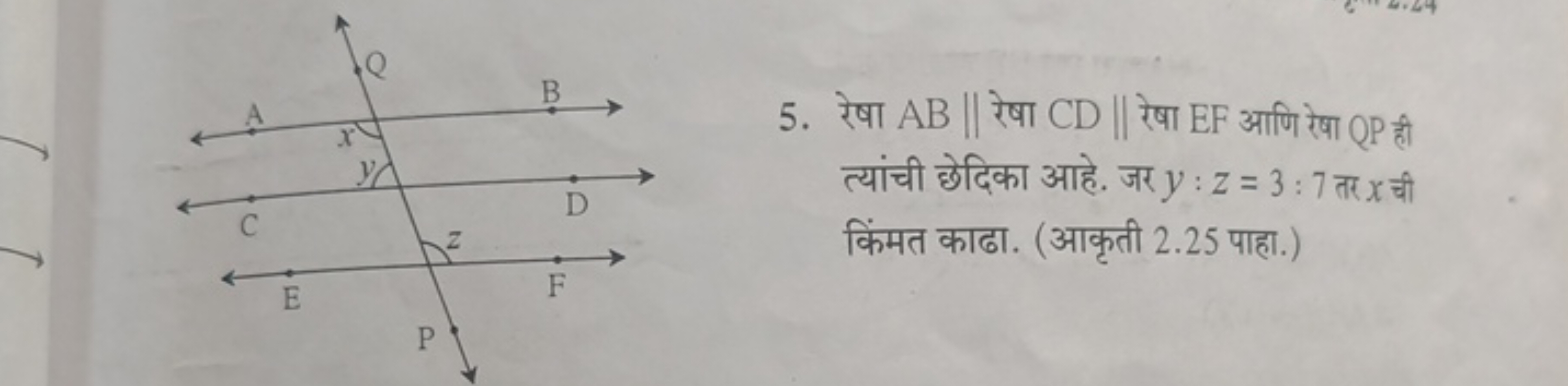 5. रेषा AB∥ रेषा CD∥ रेषा EF आणि रेषा QP ही त्यांची छेदिका आहे. जर y:z