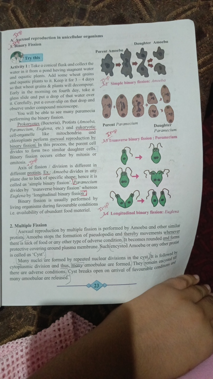 A. Asexual reproduction in unicellular organisms
1. Binary Fission

Tr