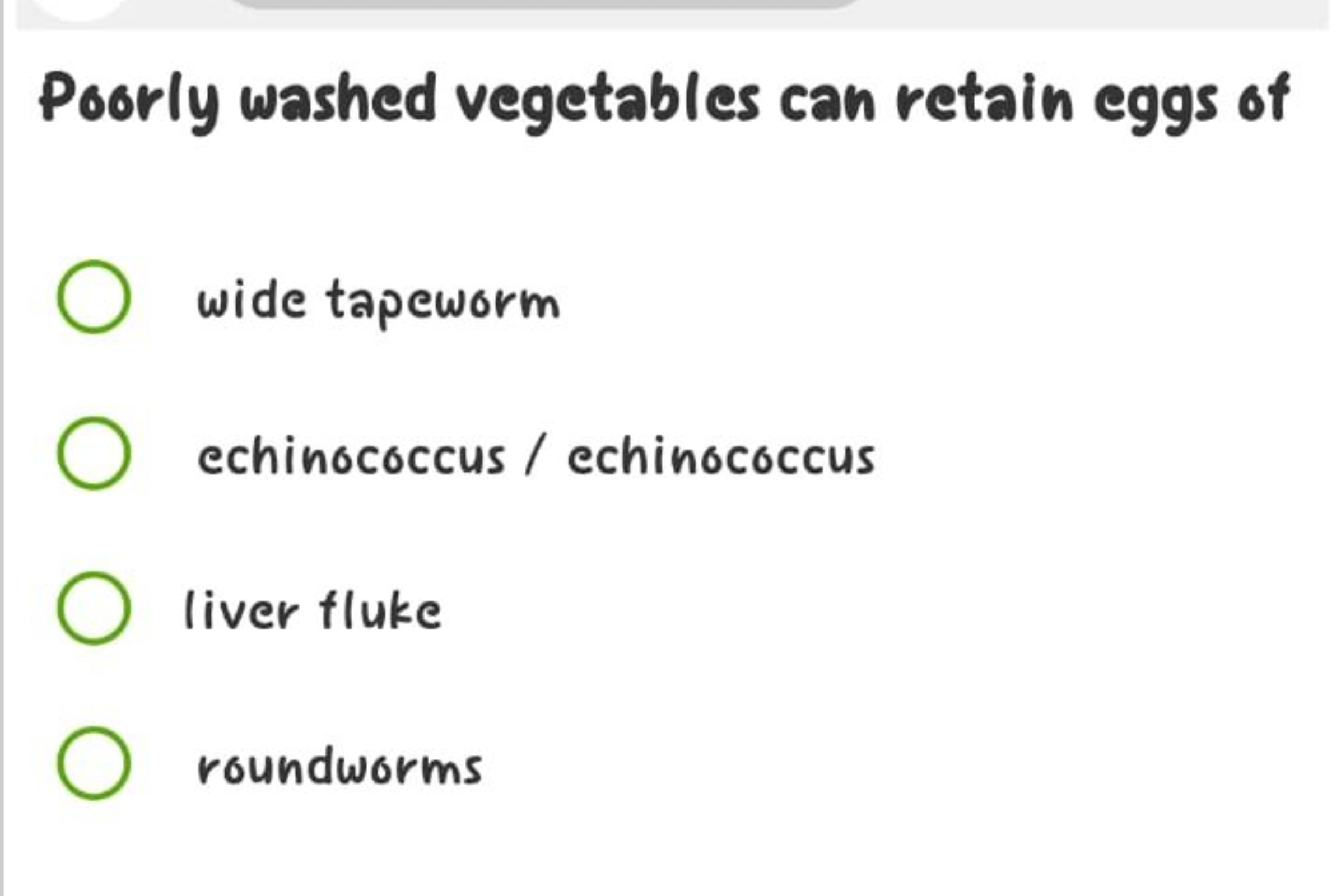 Poorly washed vegetables can retain eggs of
wide tapeworm
echinococcus