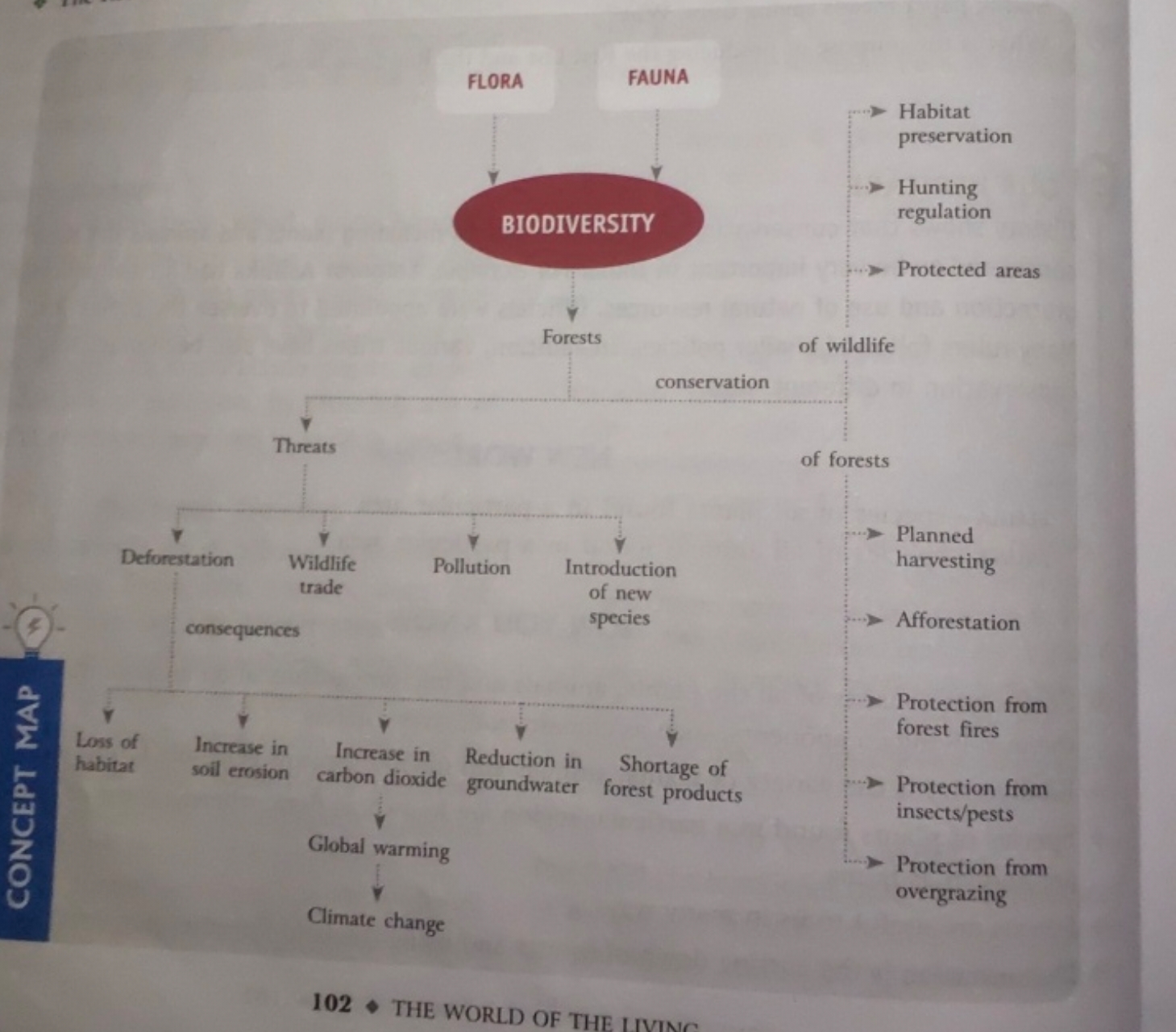 CONCEPT MAP
Threats
FLORA
FAUNA
BIODIVERSITY
Forests
Habitat
preservat