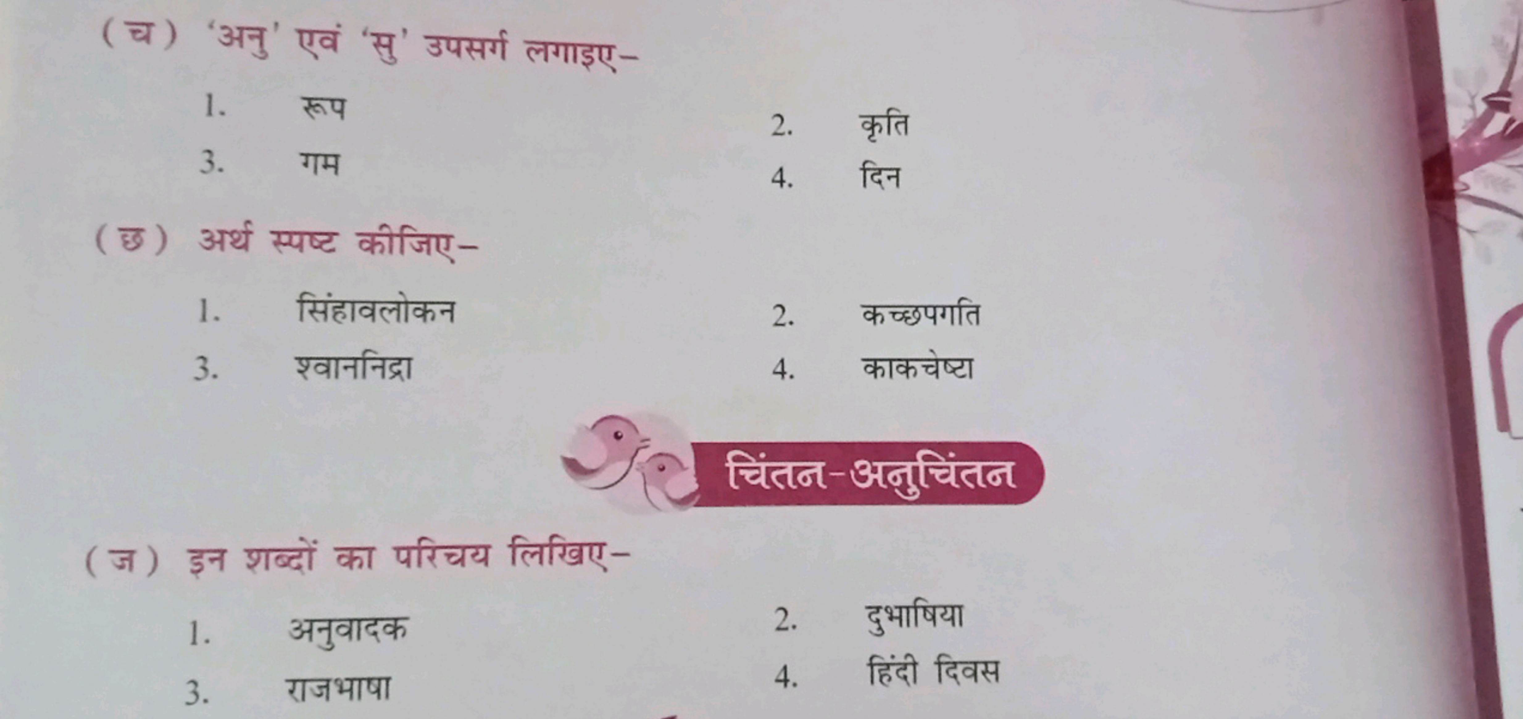 (च) 'अनु' एवं 'सु' उपसर्ग लगाइए-
1. रूप
3. गम
2. कृति
4. दिन
(छ) अर्थ 