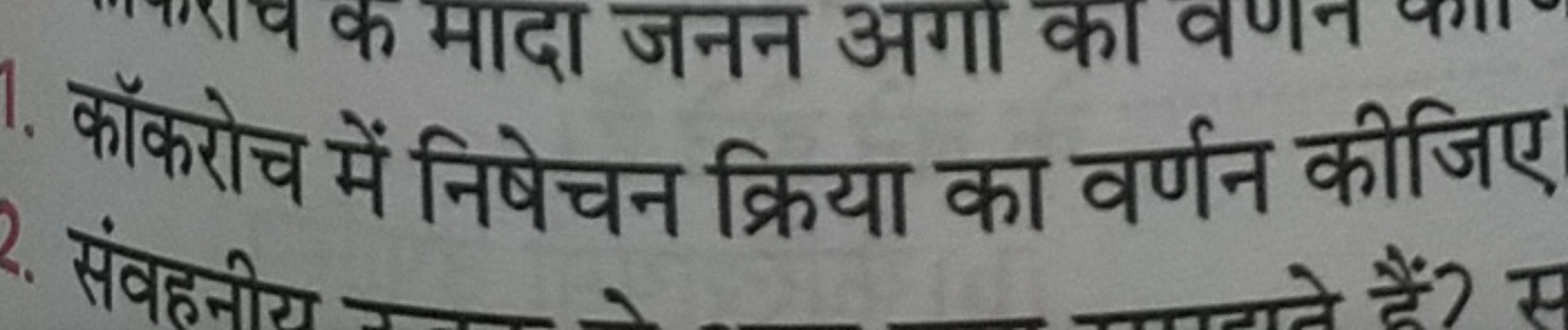 कॉकरोच में निषेचन क्रिया का वर्णन कीजिए