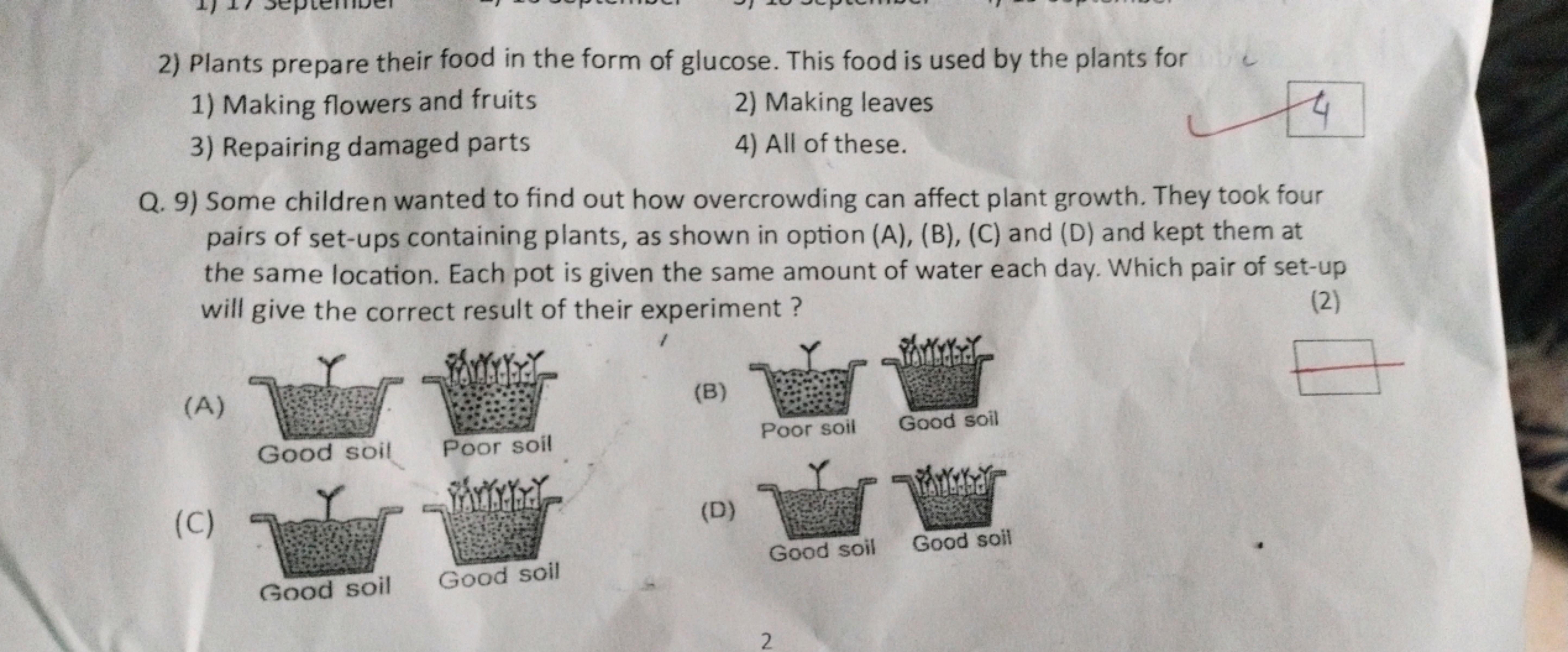 2) Plants prepare their food in the form of glucose. This food is used