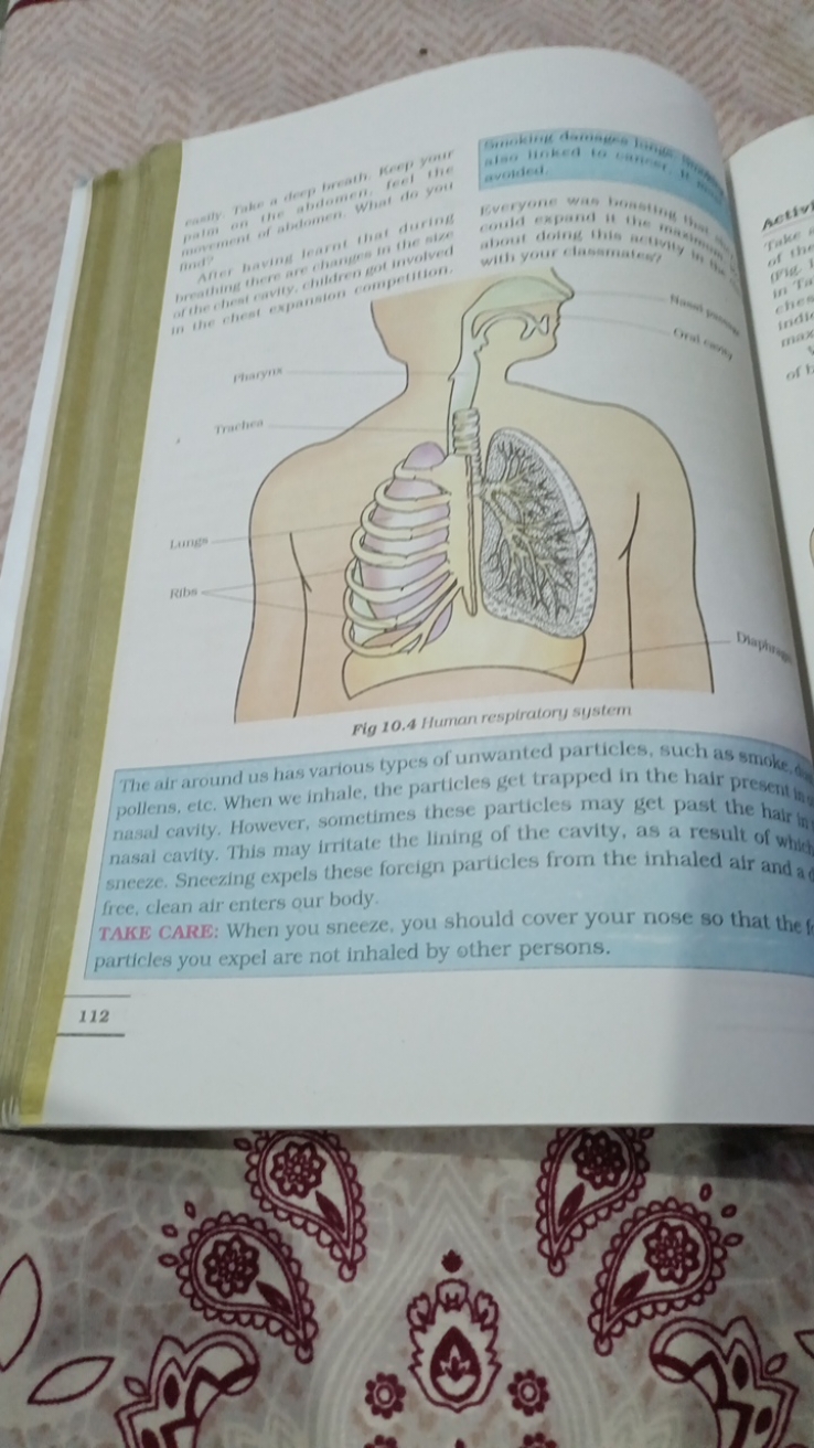 Fig 10.4 Human respiratory system
The air around us has various types 