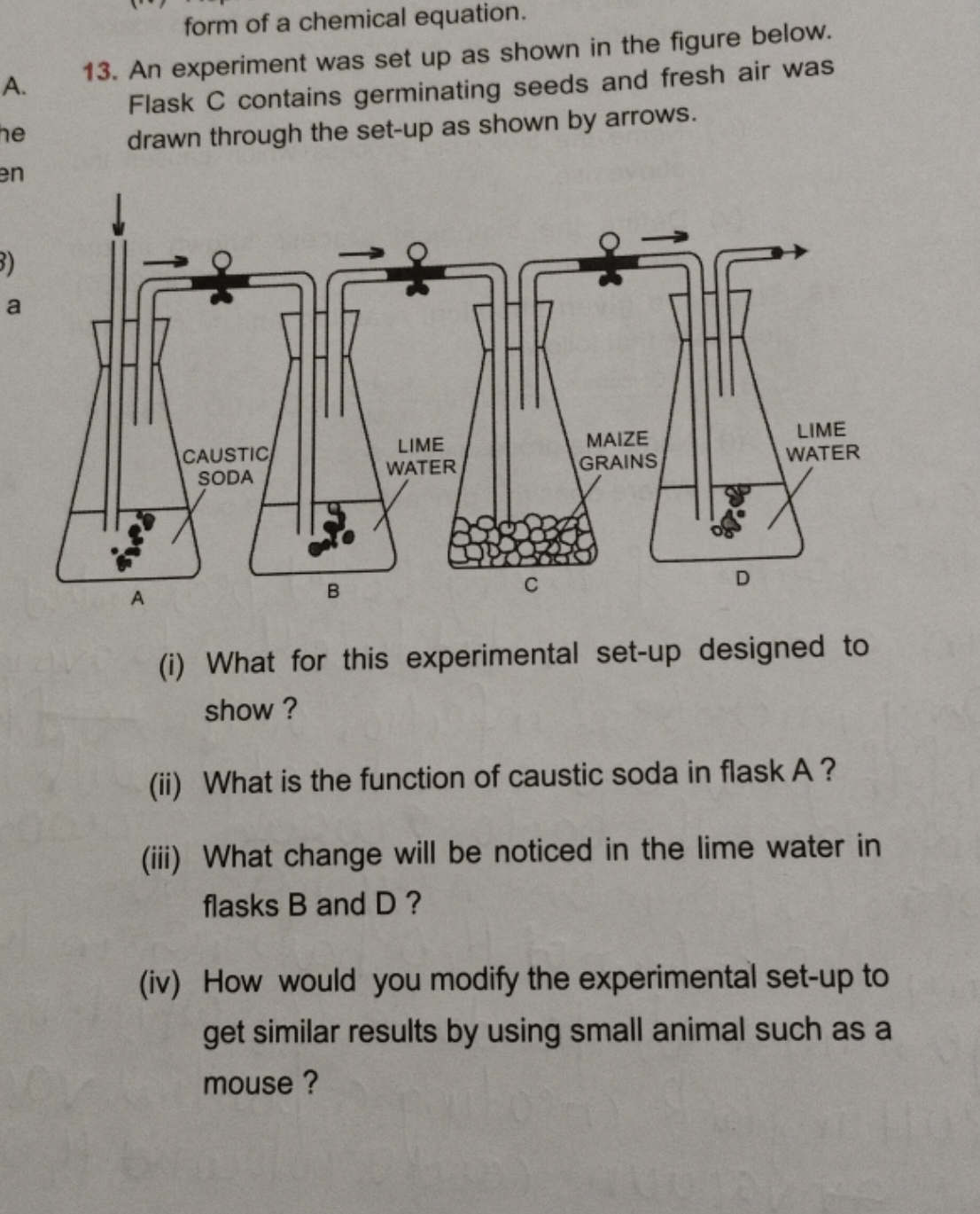 form of a chemical equation.
A. 13. An experiment was set up as shown 