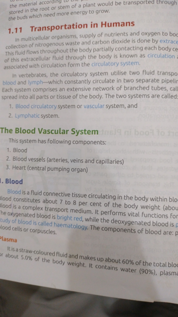 the material according stored in the root or stem of a plant would be 