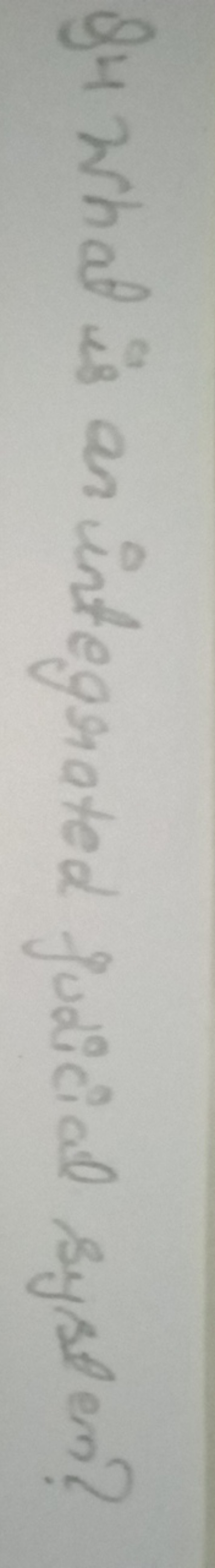 Q4 What is an integrated judicial system?