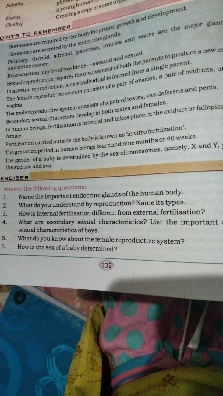 Puberty

Foetus
Cloning
A young human

DINTS TD REMEMBER
Hormones are 