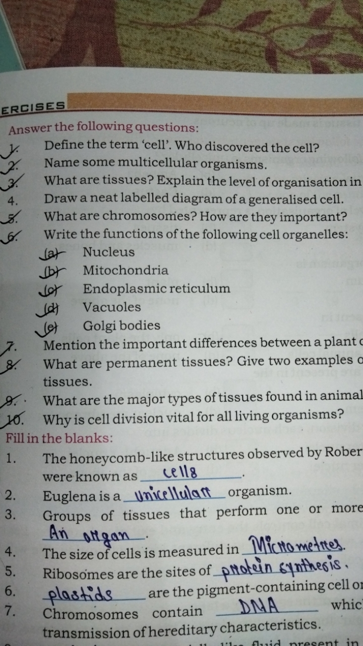 ERISES 
Answer the following questions:
1. Define the term 'cell'. Who