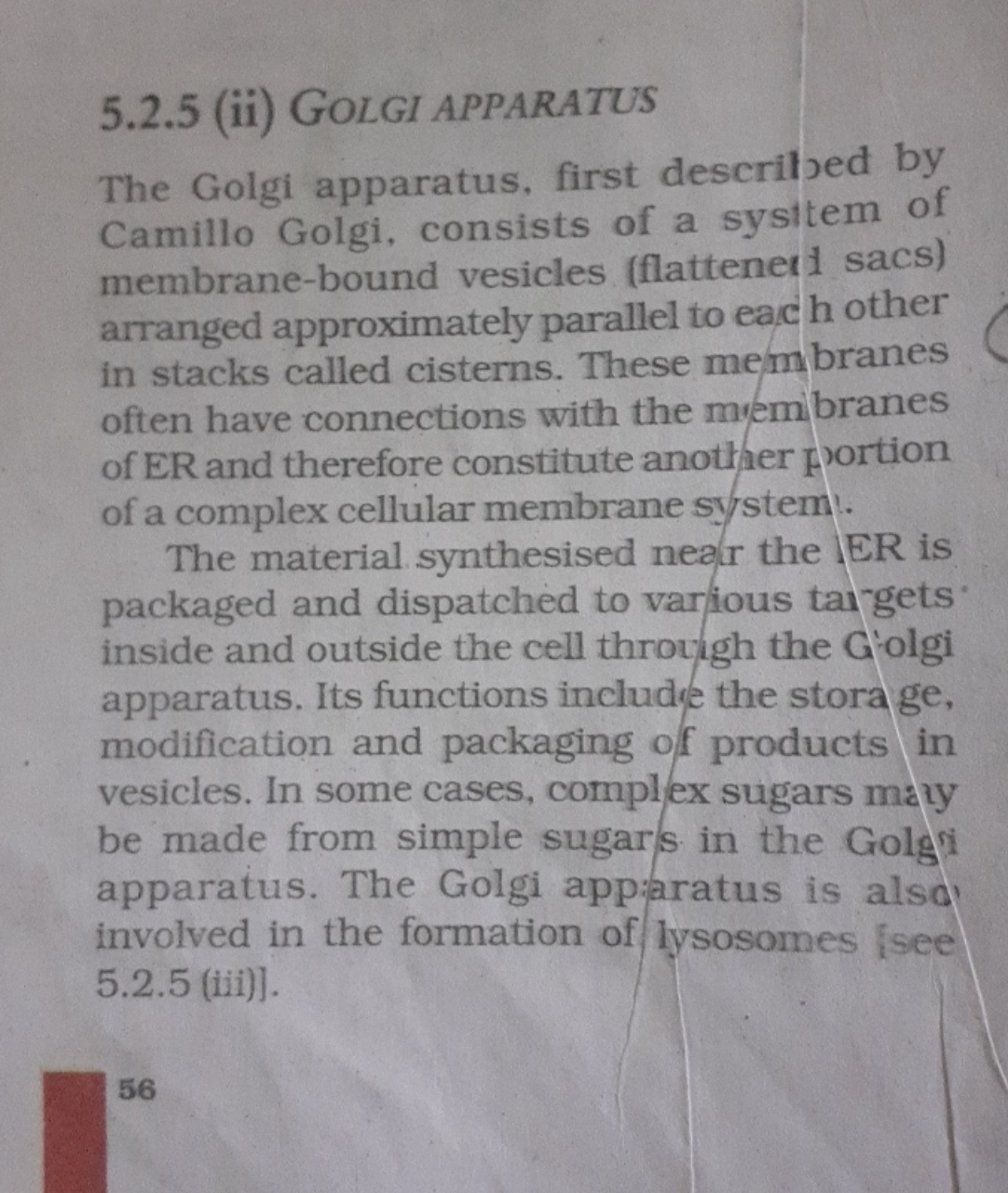 5.2 .5 (ii) GOLGI APPARATUS

The Golgi apparatus, first described by C