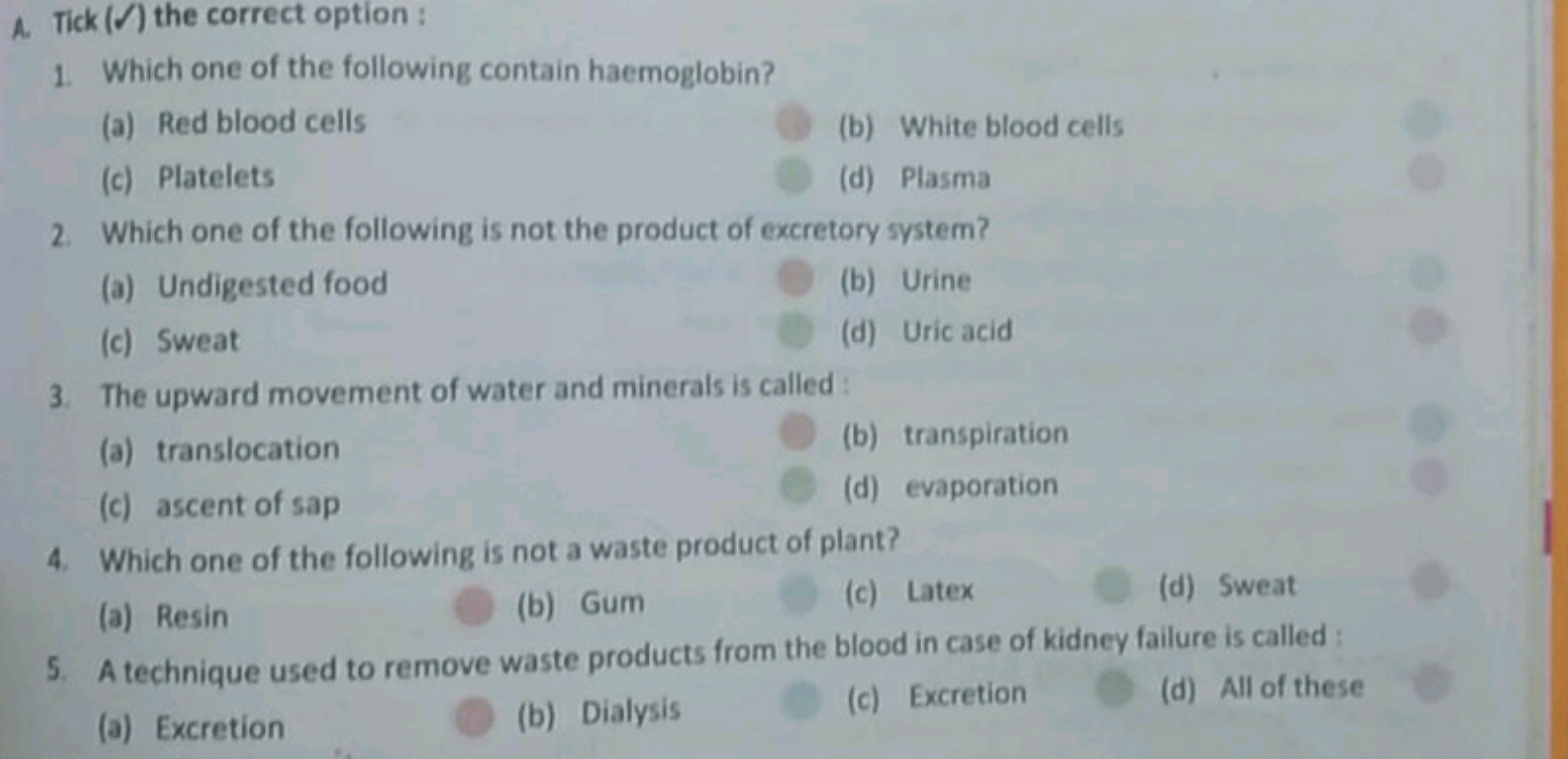 A. Tick (Ω) the correct option :
1. Which one of the following contain