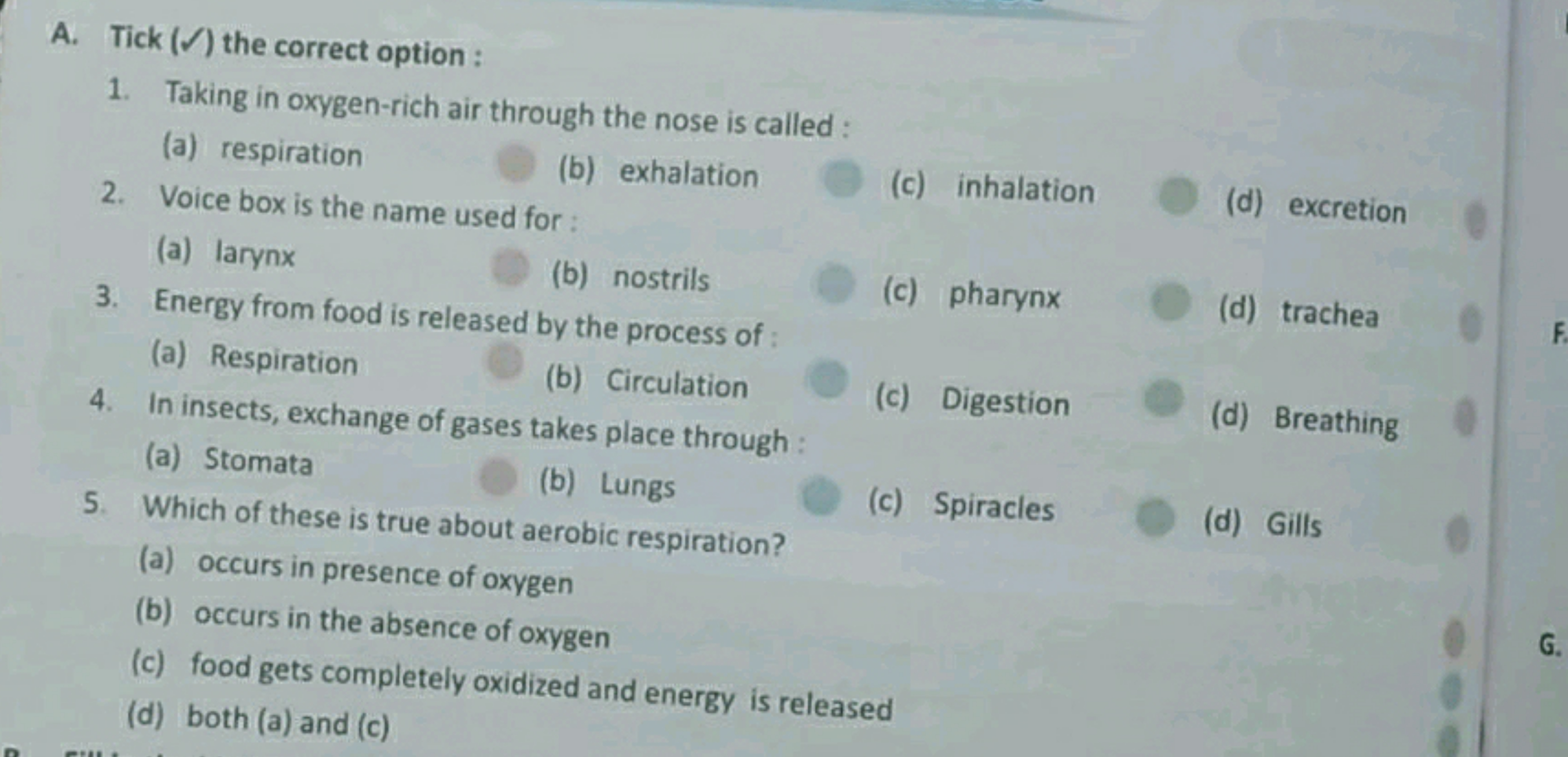 A. Tick (Ω) the correct option :
1. Taking in oxygen-rich air through 