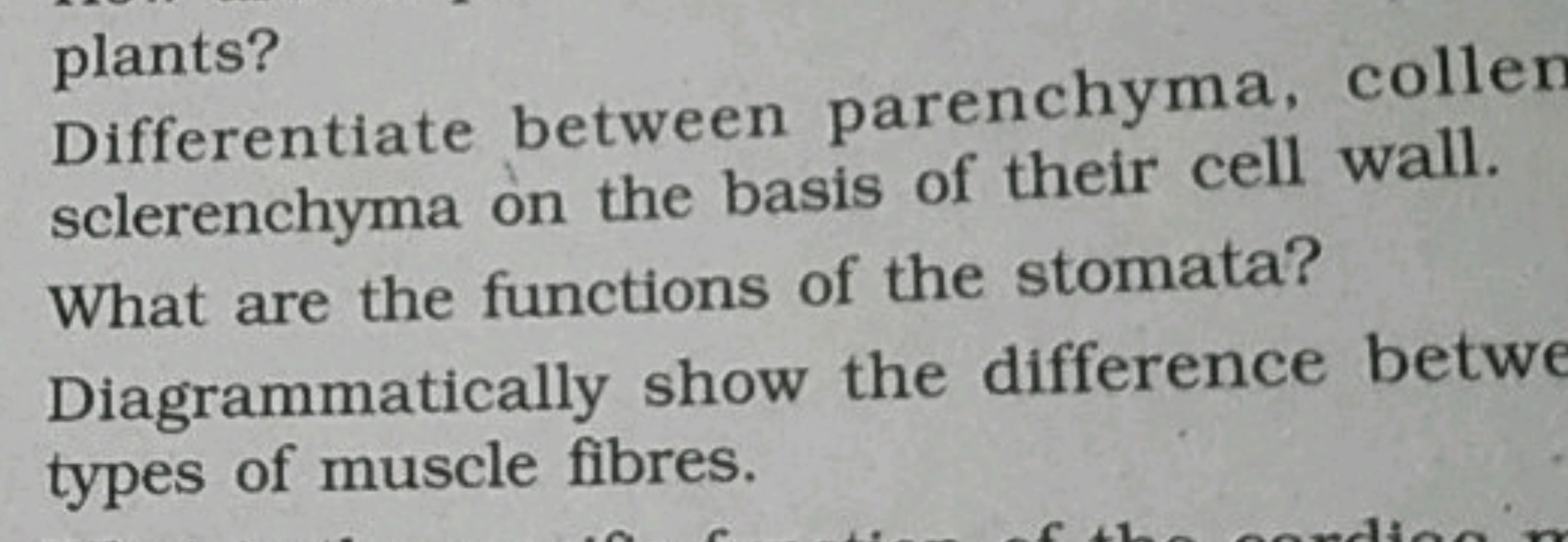 plants?
Differentiate between parenchyma, collen sclerenchyma on the b