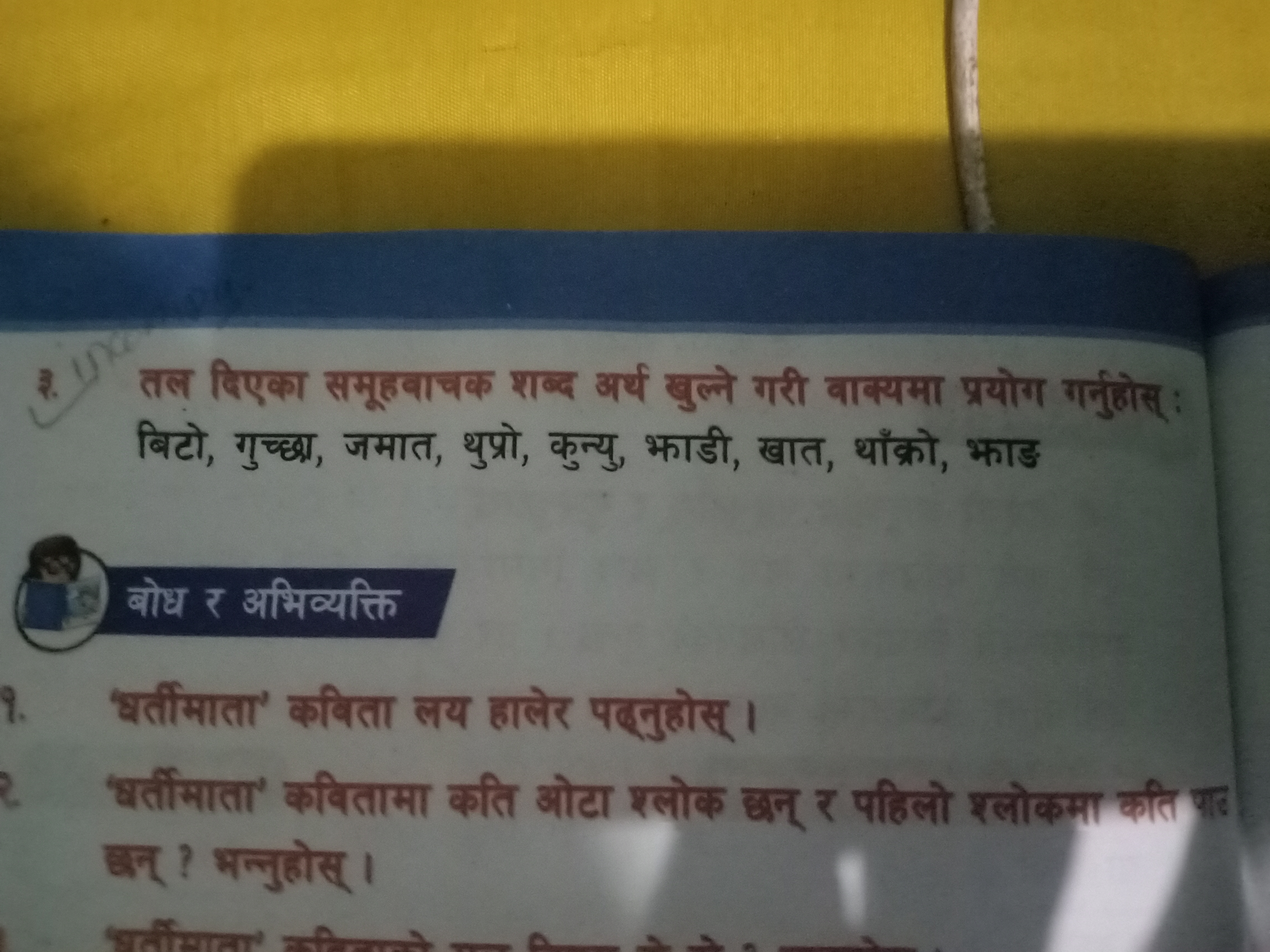 3. तल दिएका समूहवाचक शब्द अर्थ खुल्ने गरी वाक्यमा प्रयोग गर्नुहास् : ब