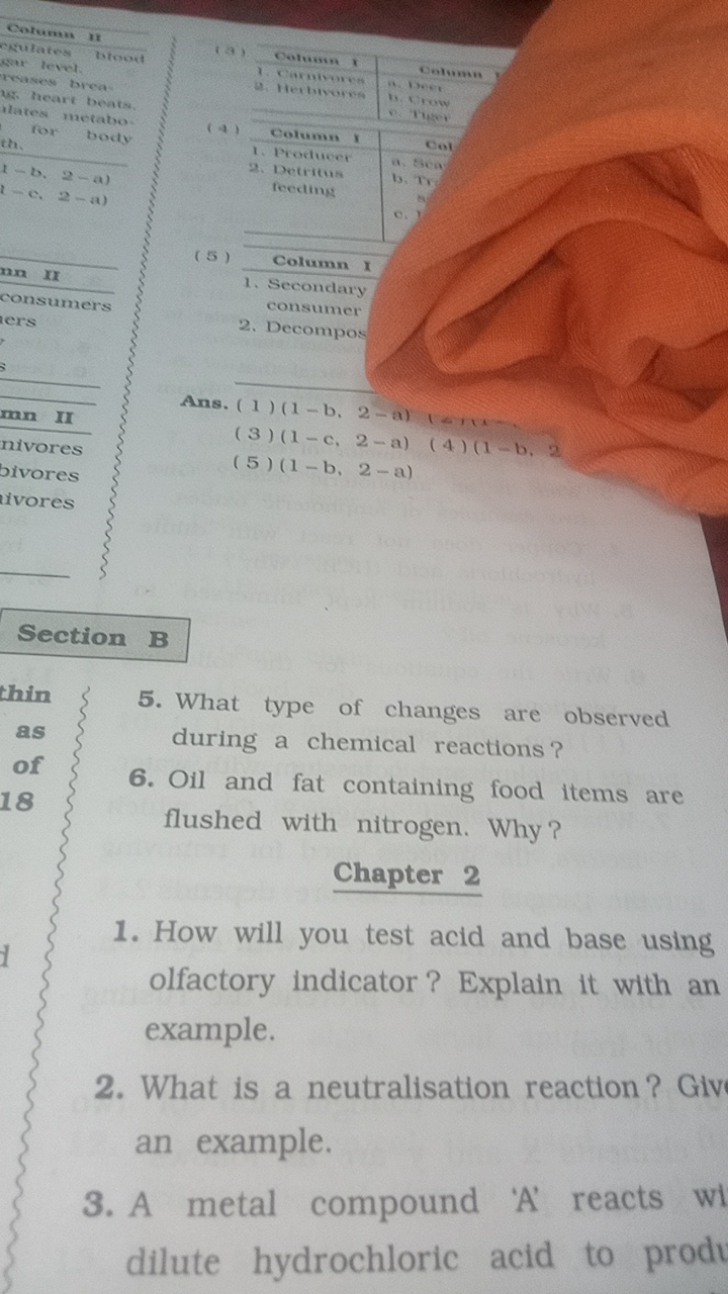 Section B
5. What type of changes are observed during a chemical react