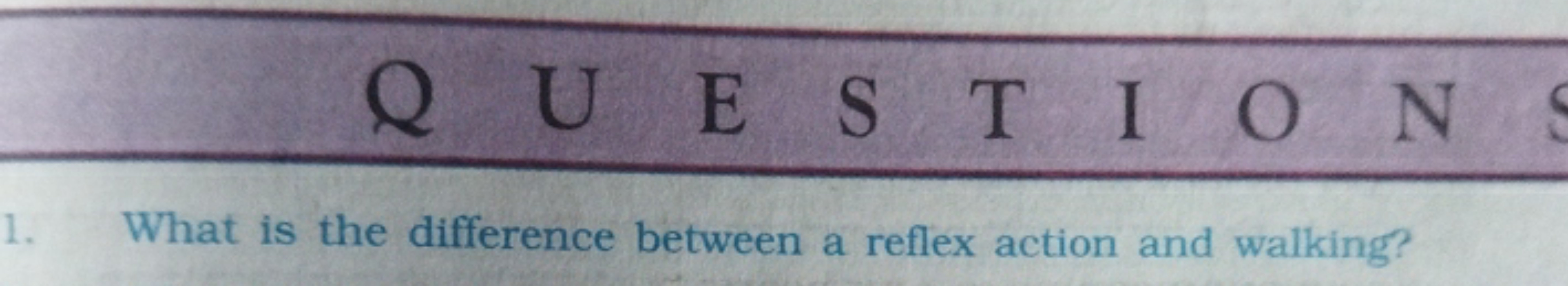 QUESTIONS
1. What is the difference between a reflex action and walkin