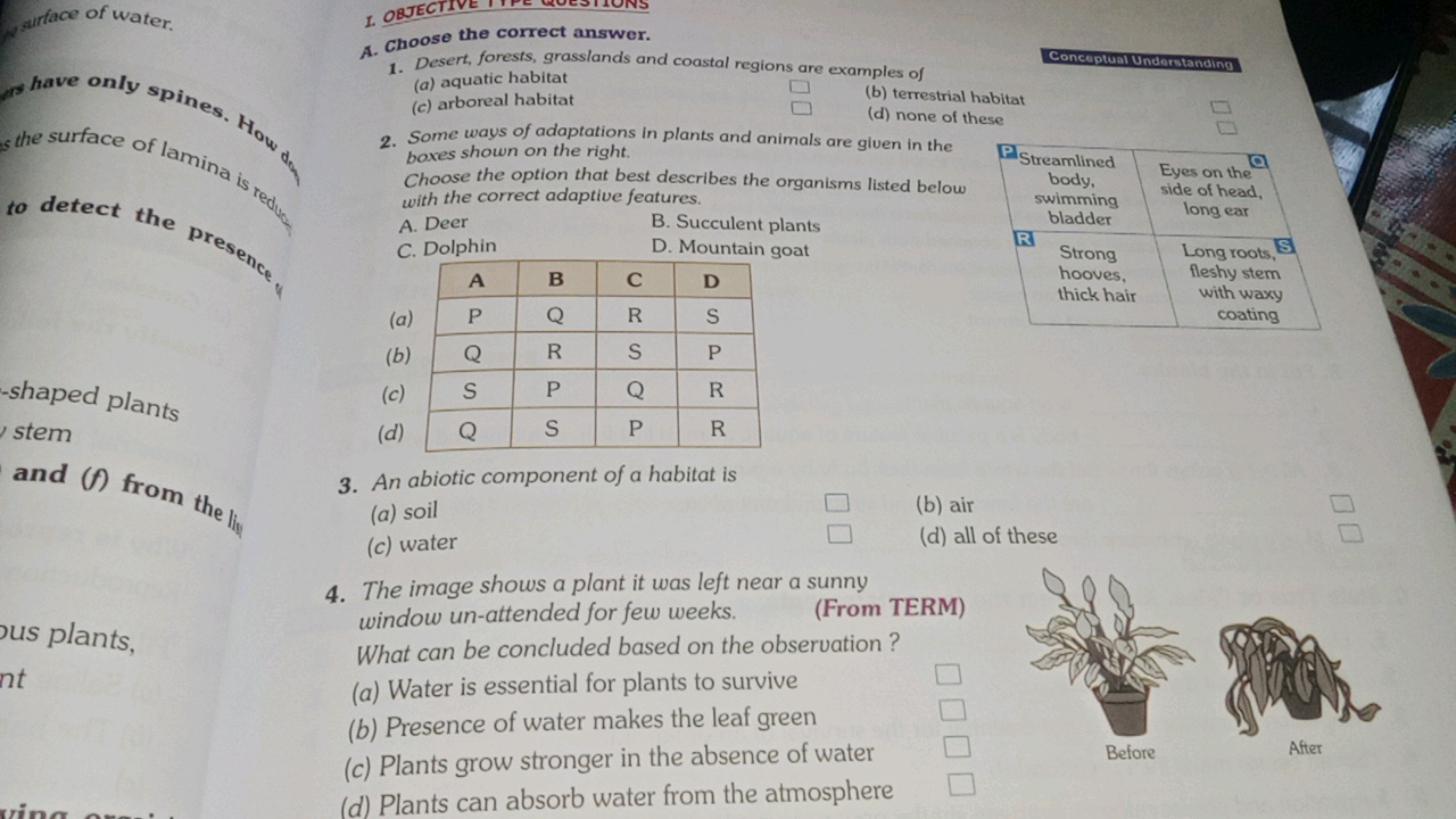 I. OBJECTIVE I
A. Choose the correct answer.
1. Desert, forests, grass