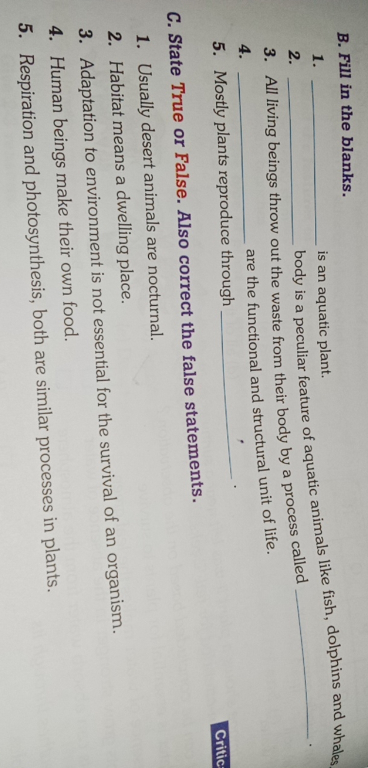 B. Fill in the blanks.
1.  is an aquatic plant.
2. body is a peculiar 