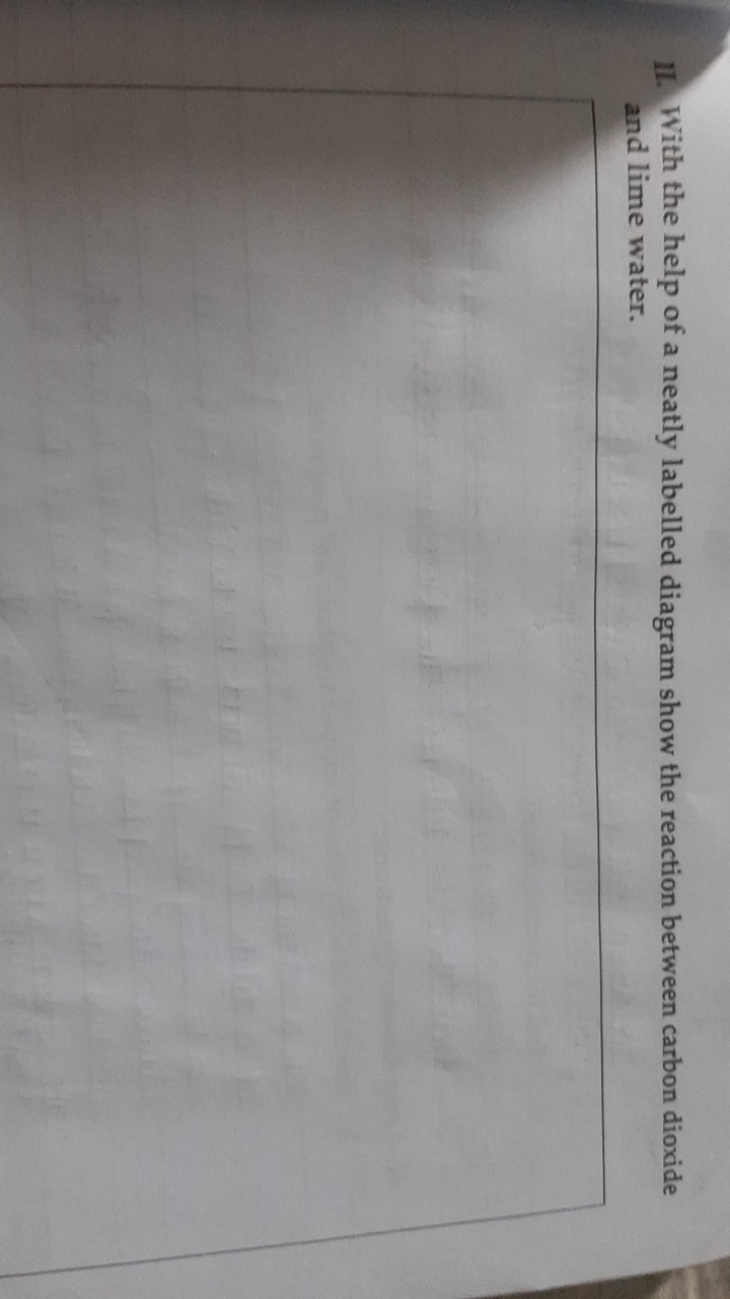 11. With the help of a neatly labelled diagram show the reaction betwe