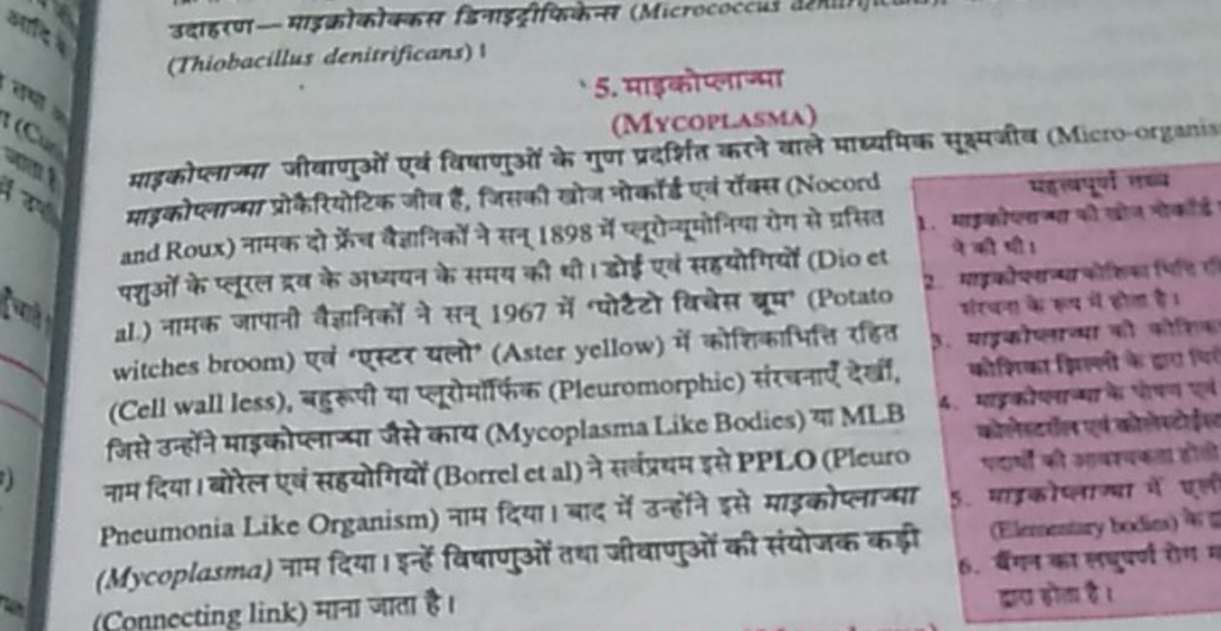 (Thiobacillus denitrificans) I
5. माइकौप्लाज्या
(MYCOPLASMA)
माड़कोप्ल