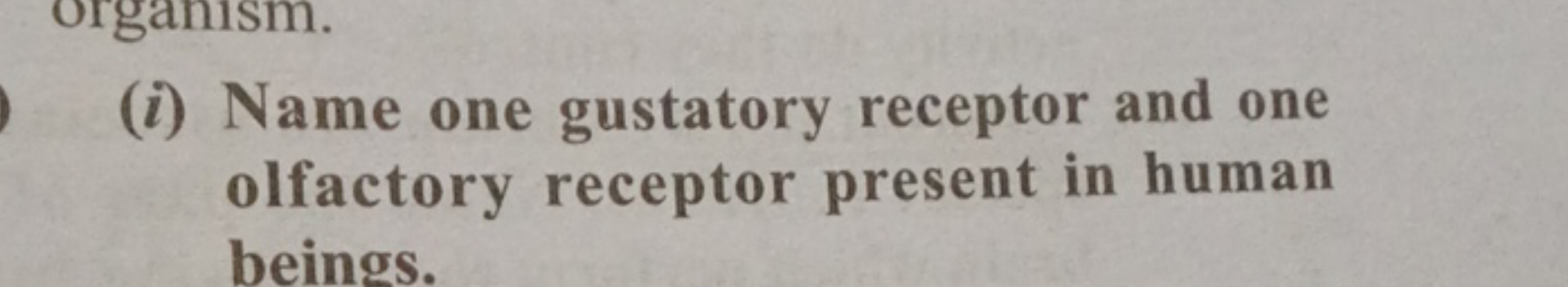 organism.
0 (i) Name one gustatory receptor and one
olfactory receptor