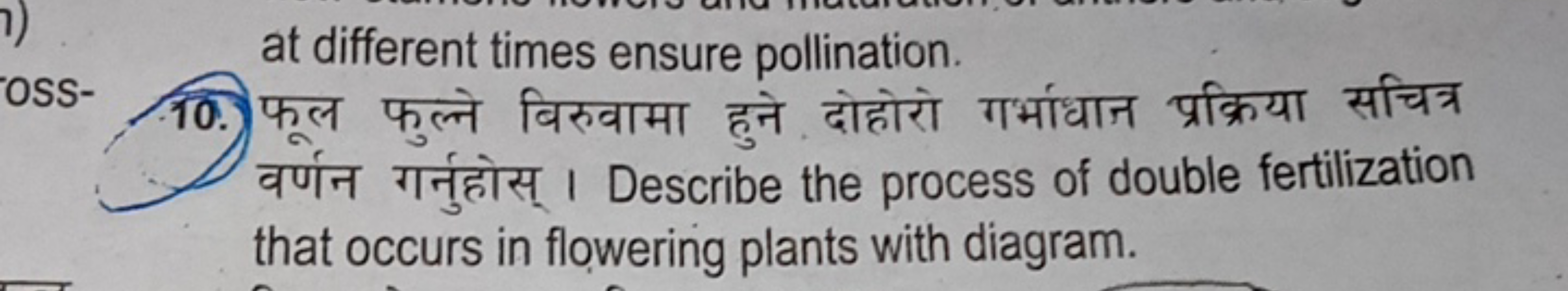 1)
OSS-
at different times ensure pollination.
10. the that far
qui
HT