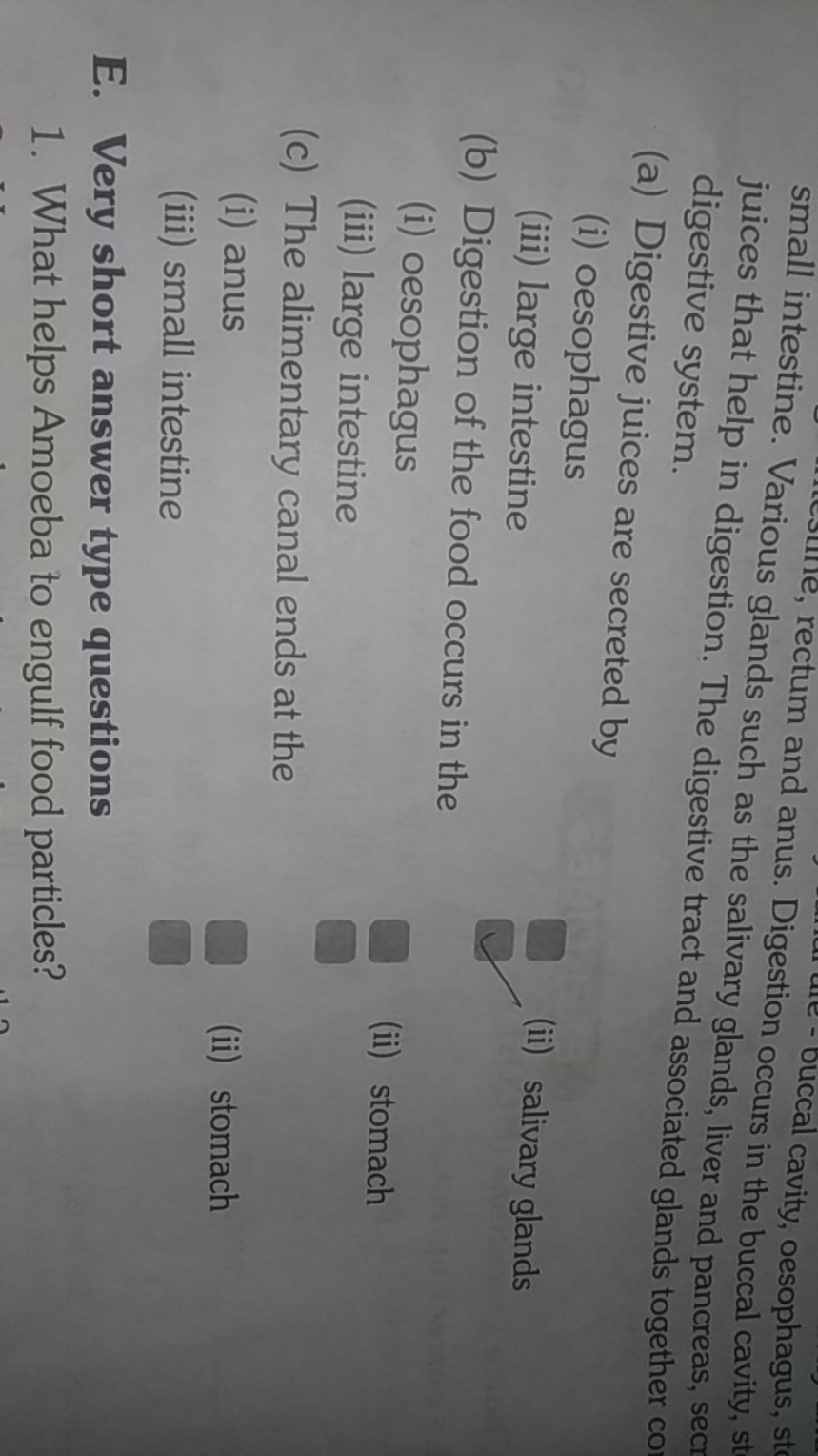 small intestine. Vare, rectum and anus. Digestion cuccal cavity, oesop