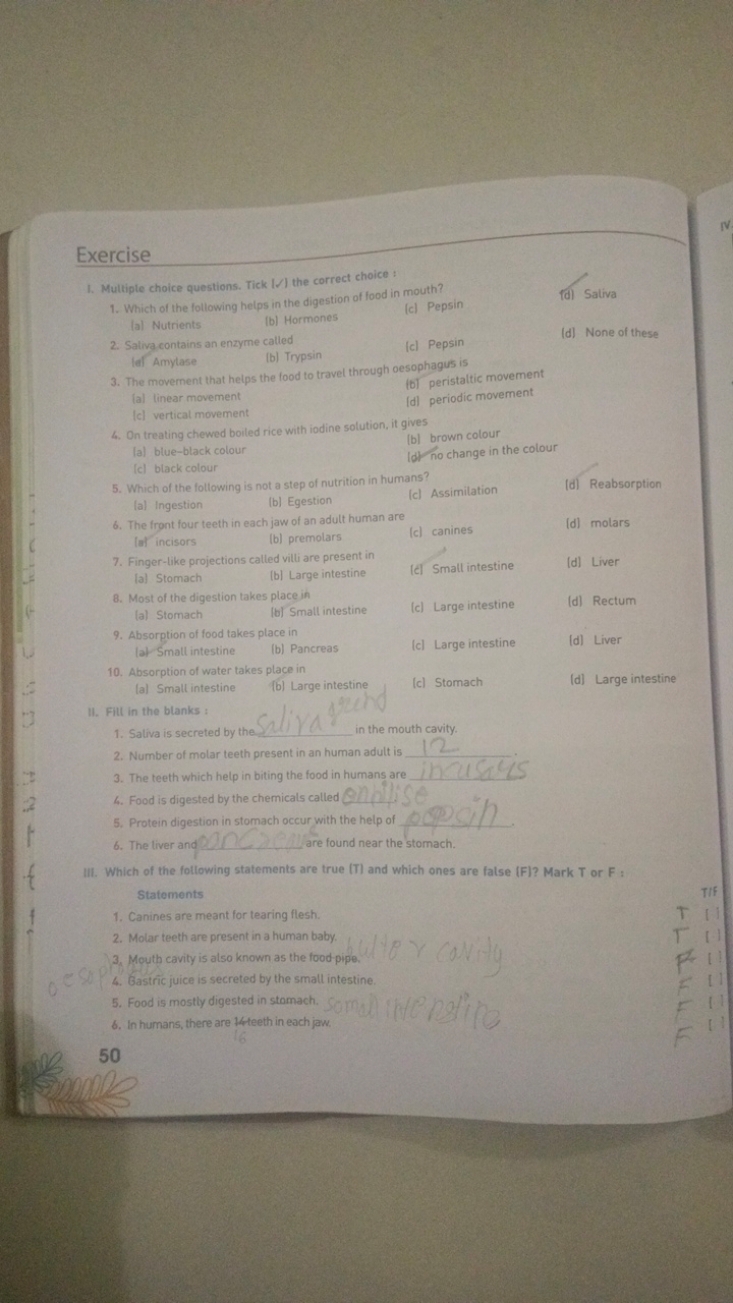 Exercise
I. Multiple choice questions. Tick ∣✓/ the correct choice :
1