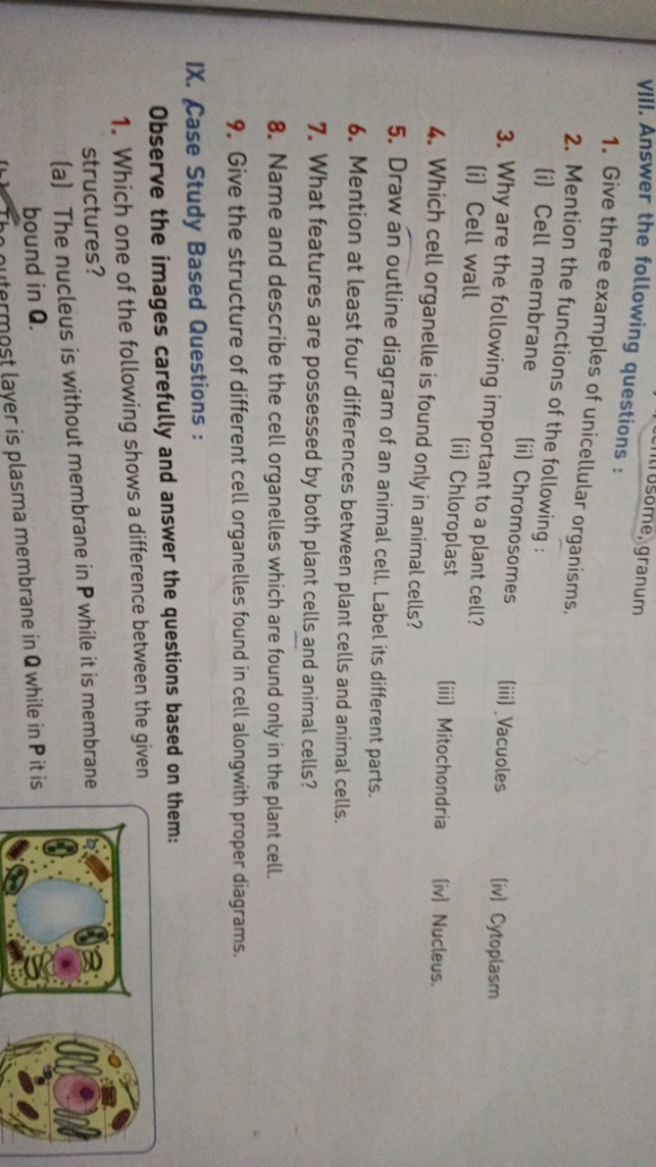 VIII. Answer the following questions :
1. Give three examples of unice