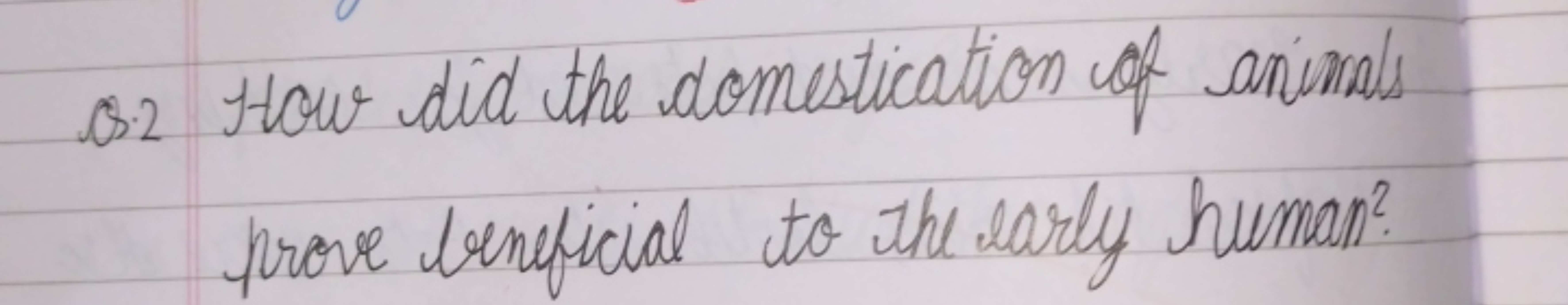 Q. 2 How did the domestication of animals prove beneficial to the earl