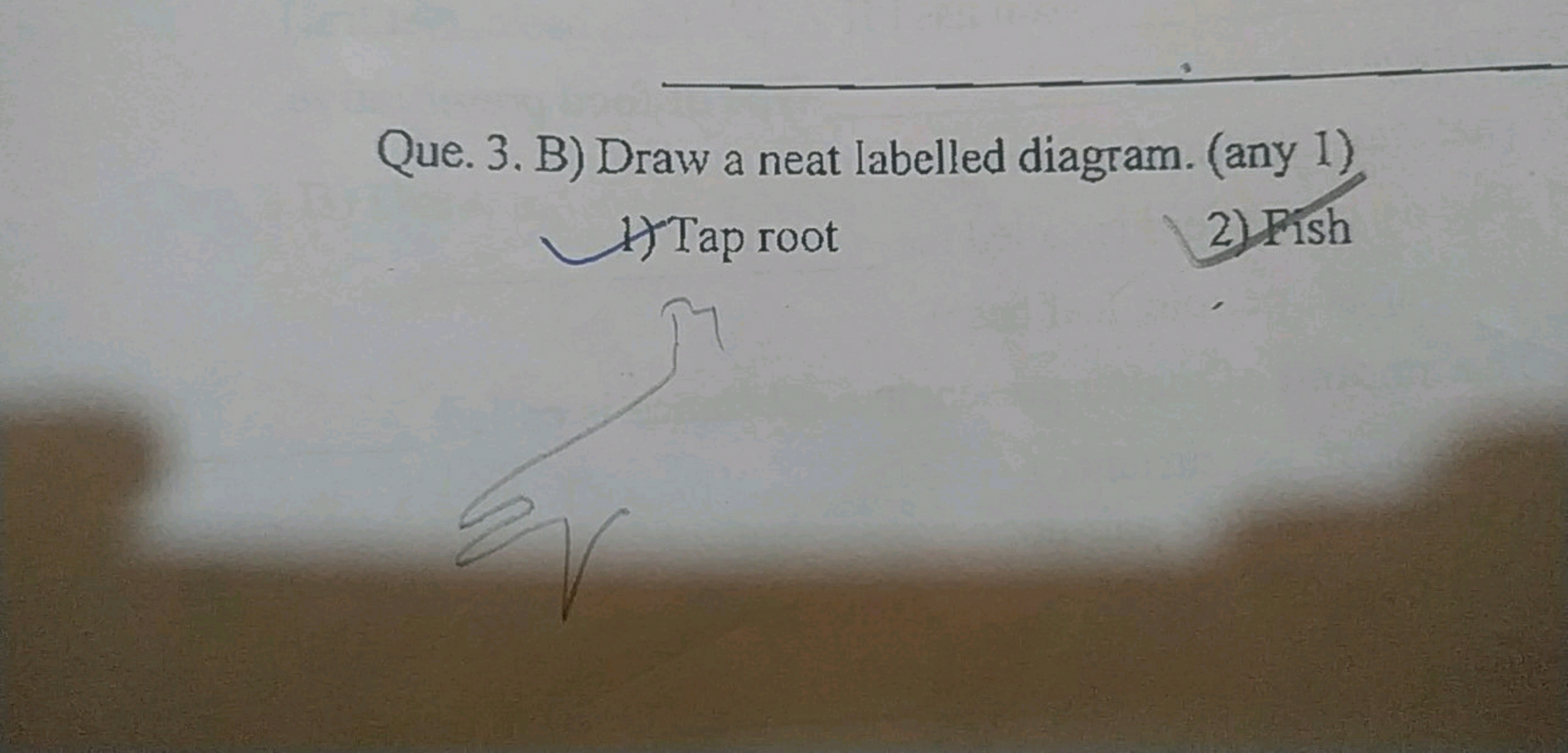 Que. 3. B) Draw a neat labelled diagtam. (any 1)
1) Tap root
2) Pish